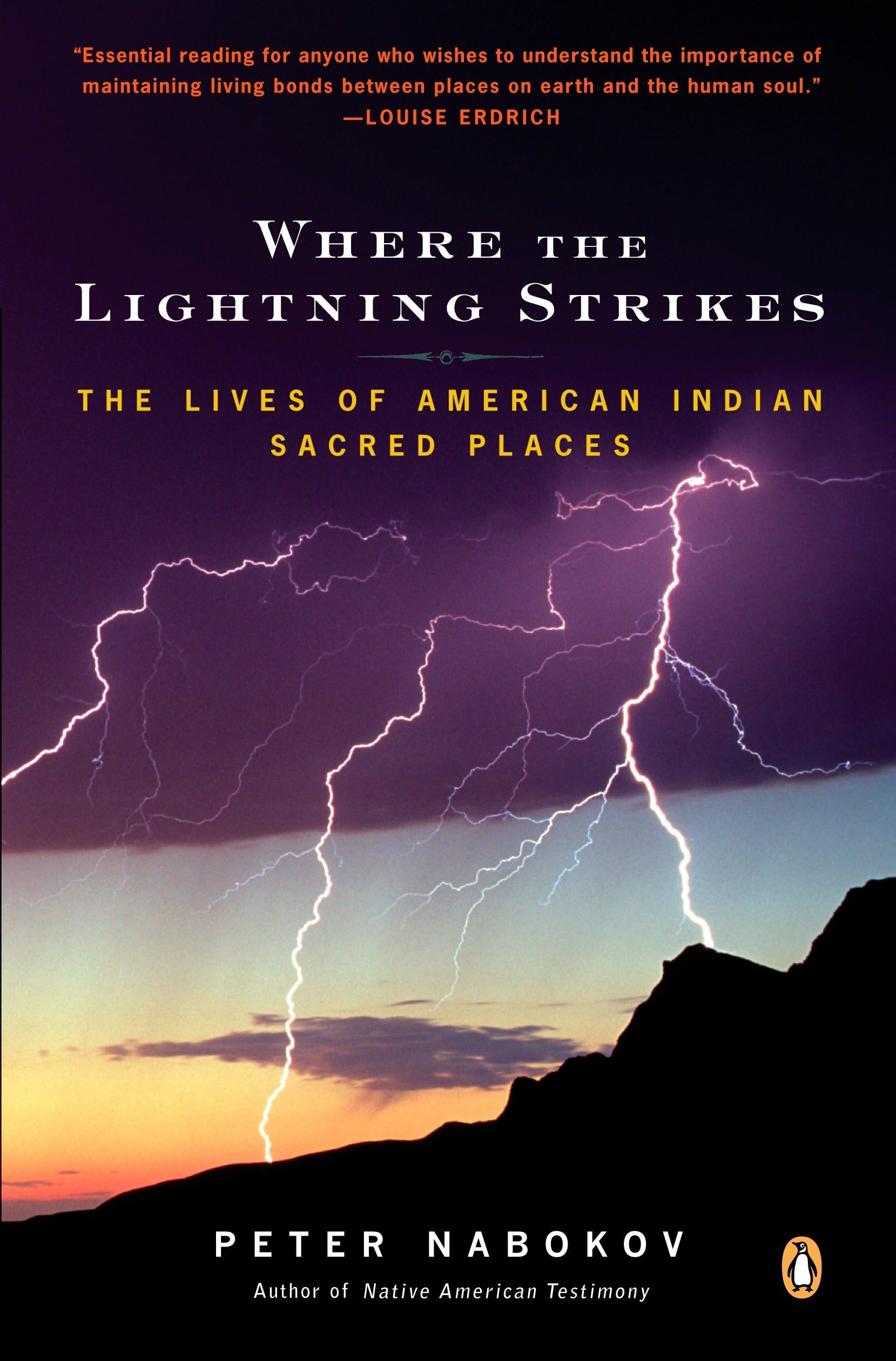 Where the Lightning Strikes: The Lives of American Indian Sacred Places Books