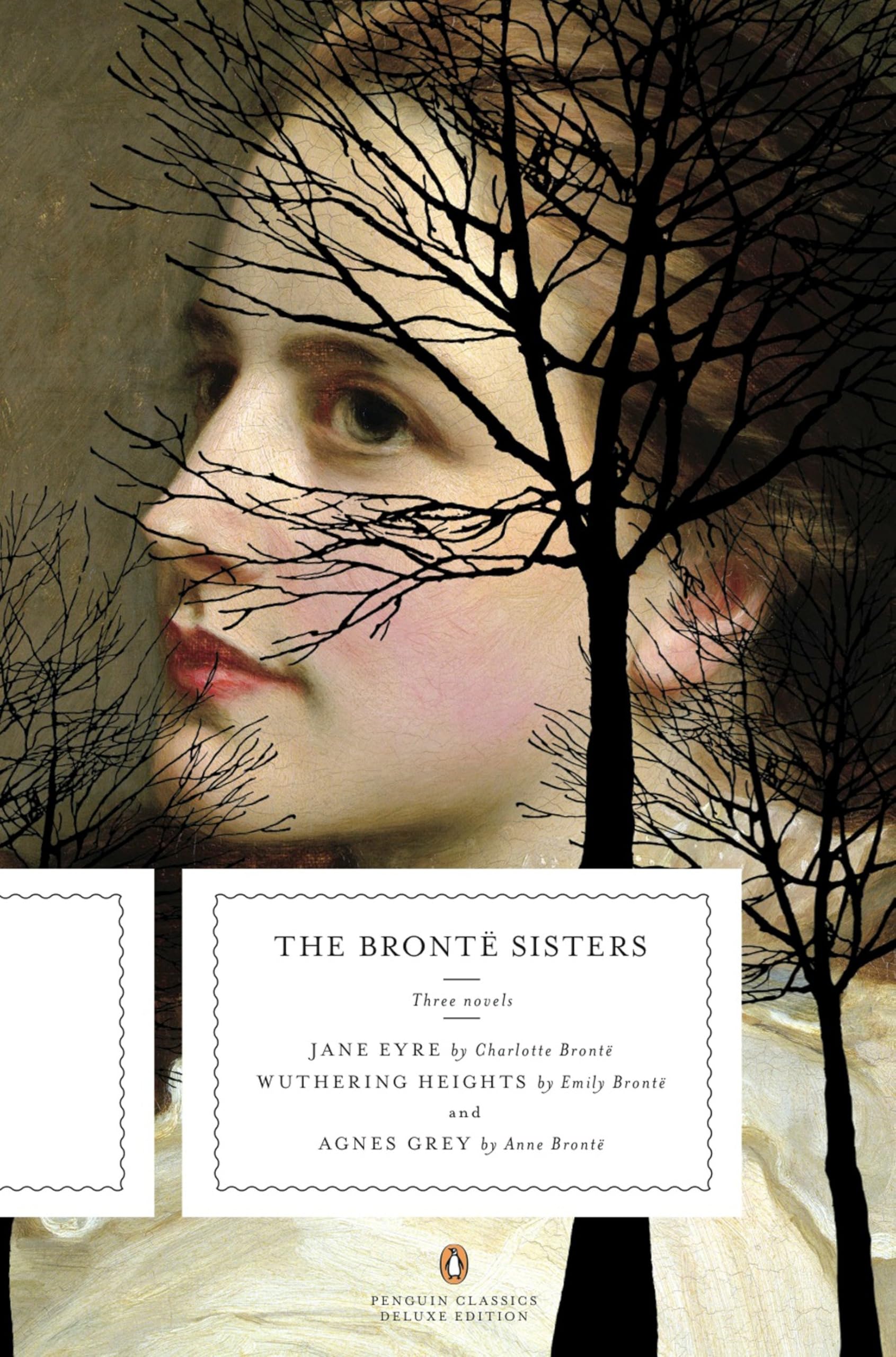 The Bronte Sisters Classics