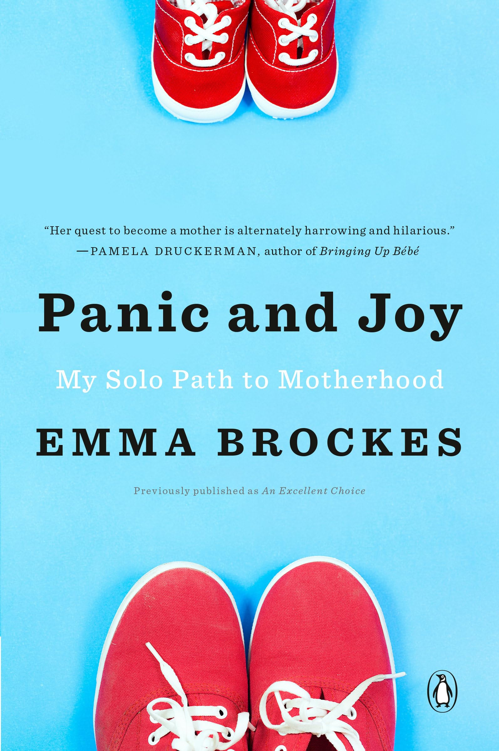 Panic and Joy: My Solo Path to Motherhood Art & Literature
