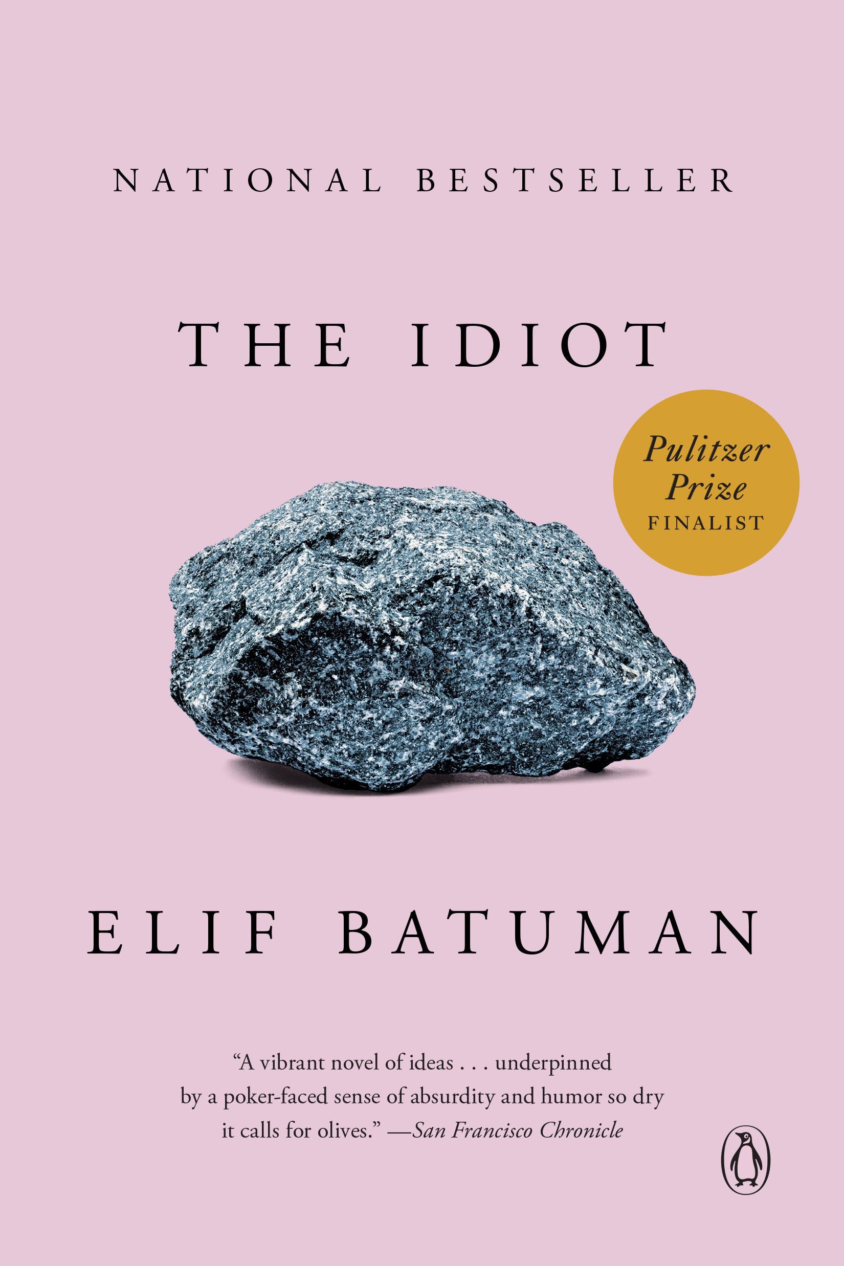 The Idiot Contemporary literature Books