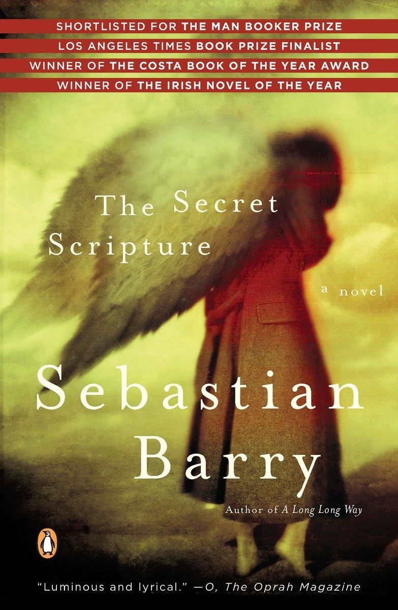 The Secret Scripture Historical Fiction