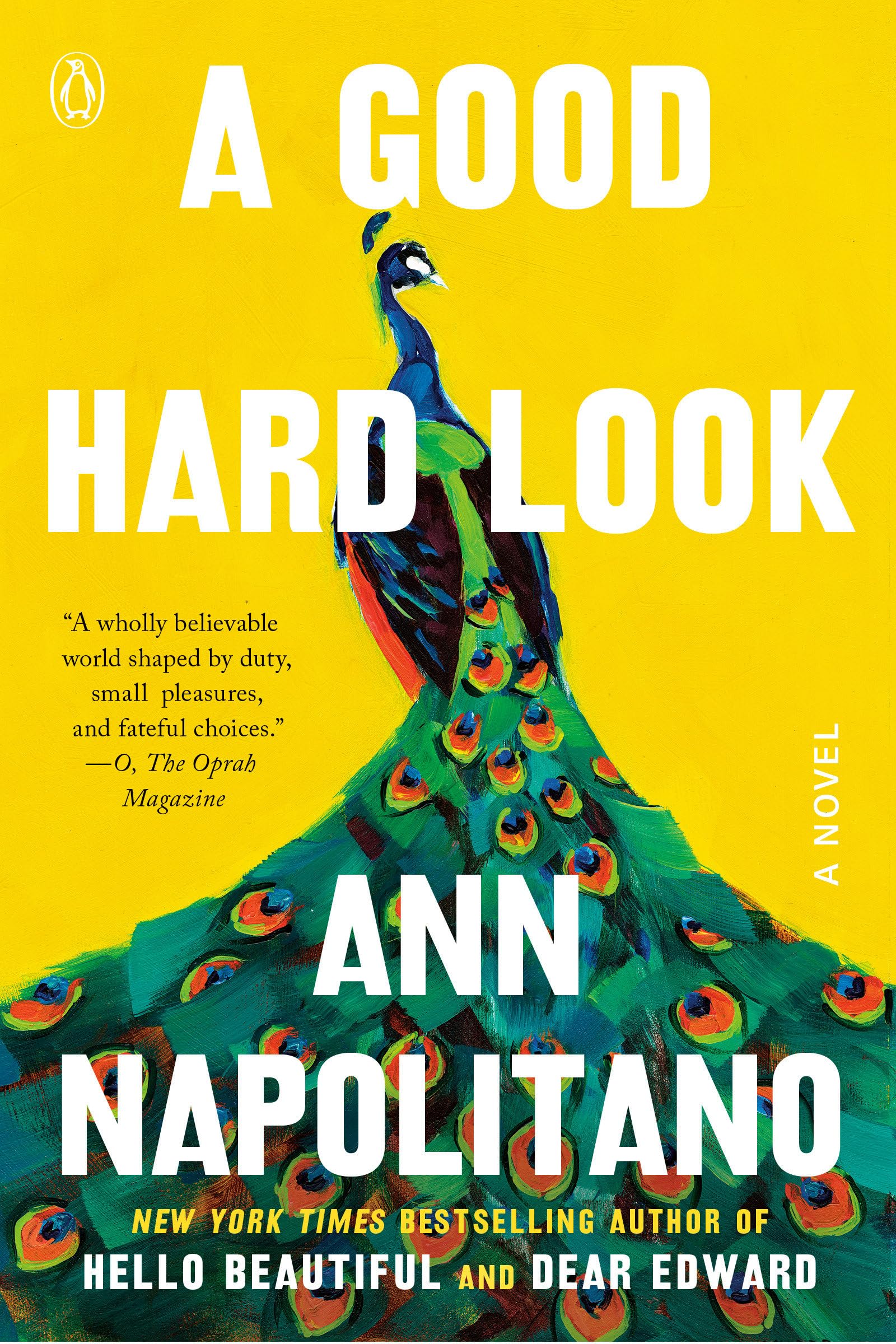 A Good Hard Look: A Novel Historical Fiction