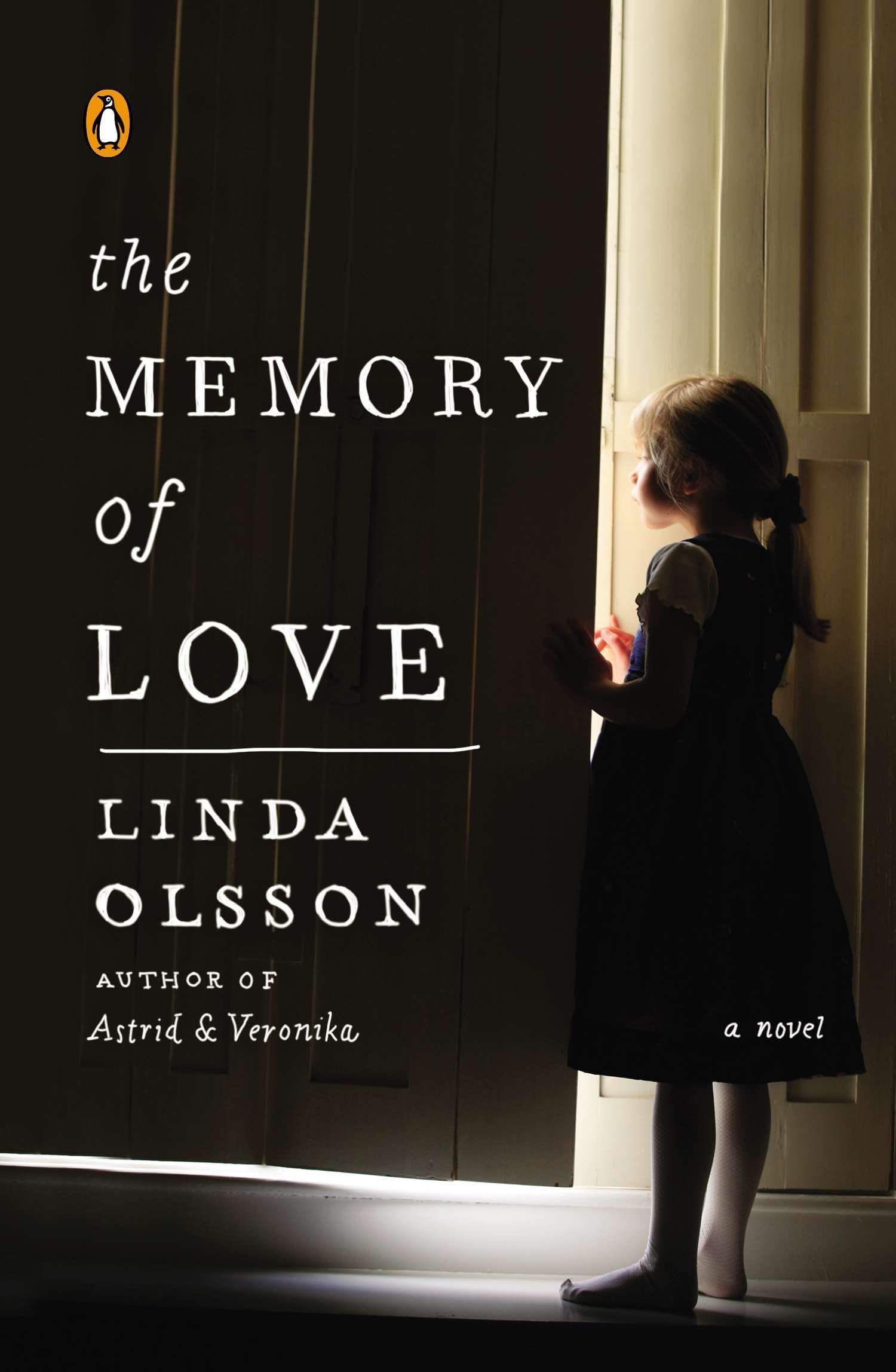 The Memory of Love: A Novel book