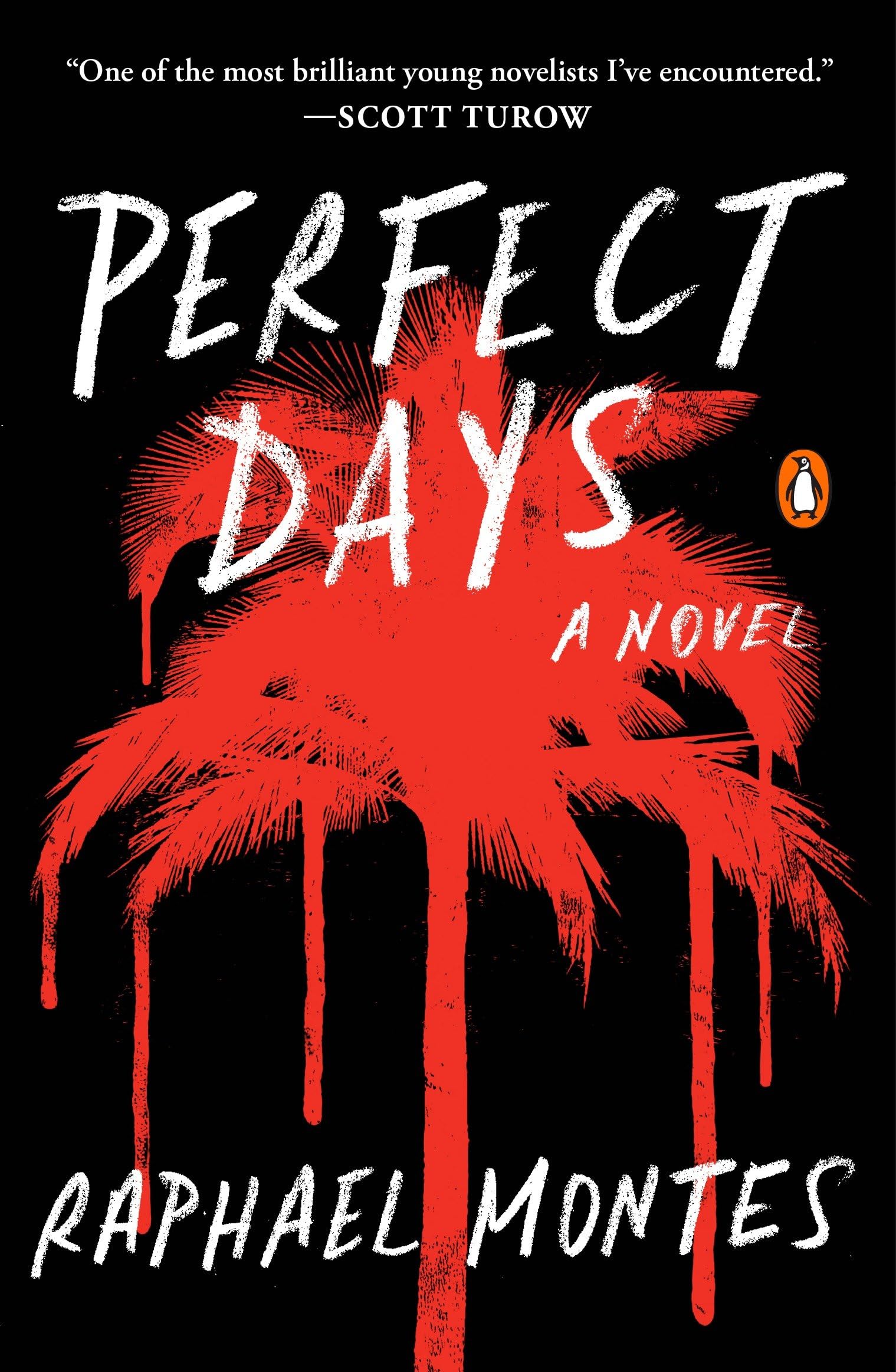 Product Image: Perfect Days: A Novel