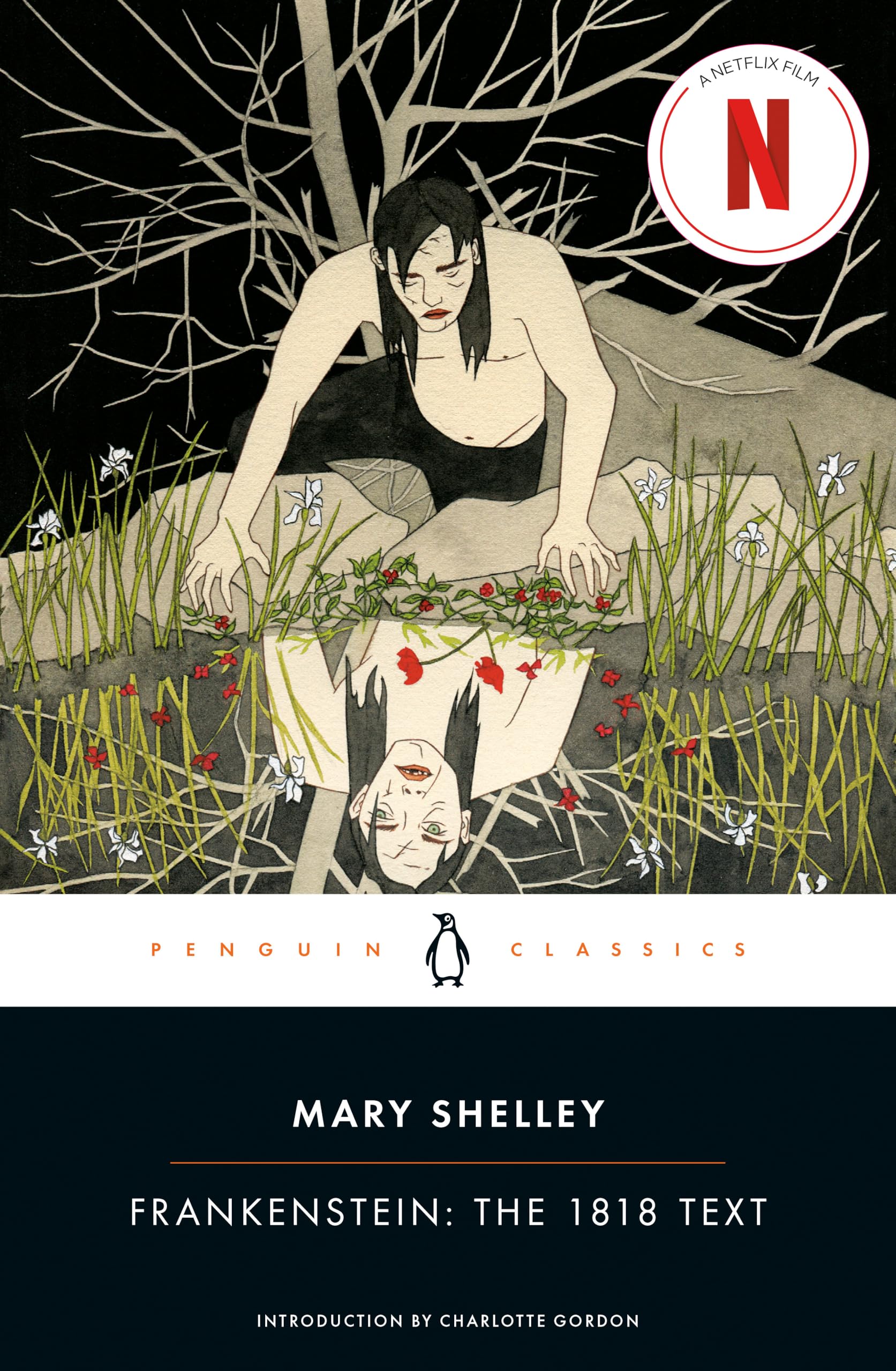 Frankenstein: The 1818 Text Classics