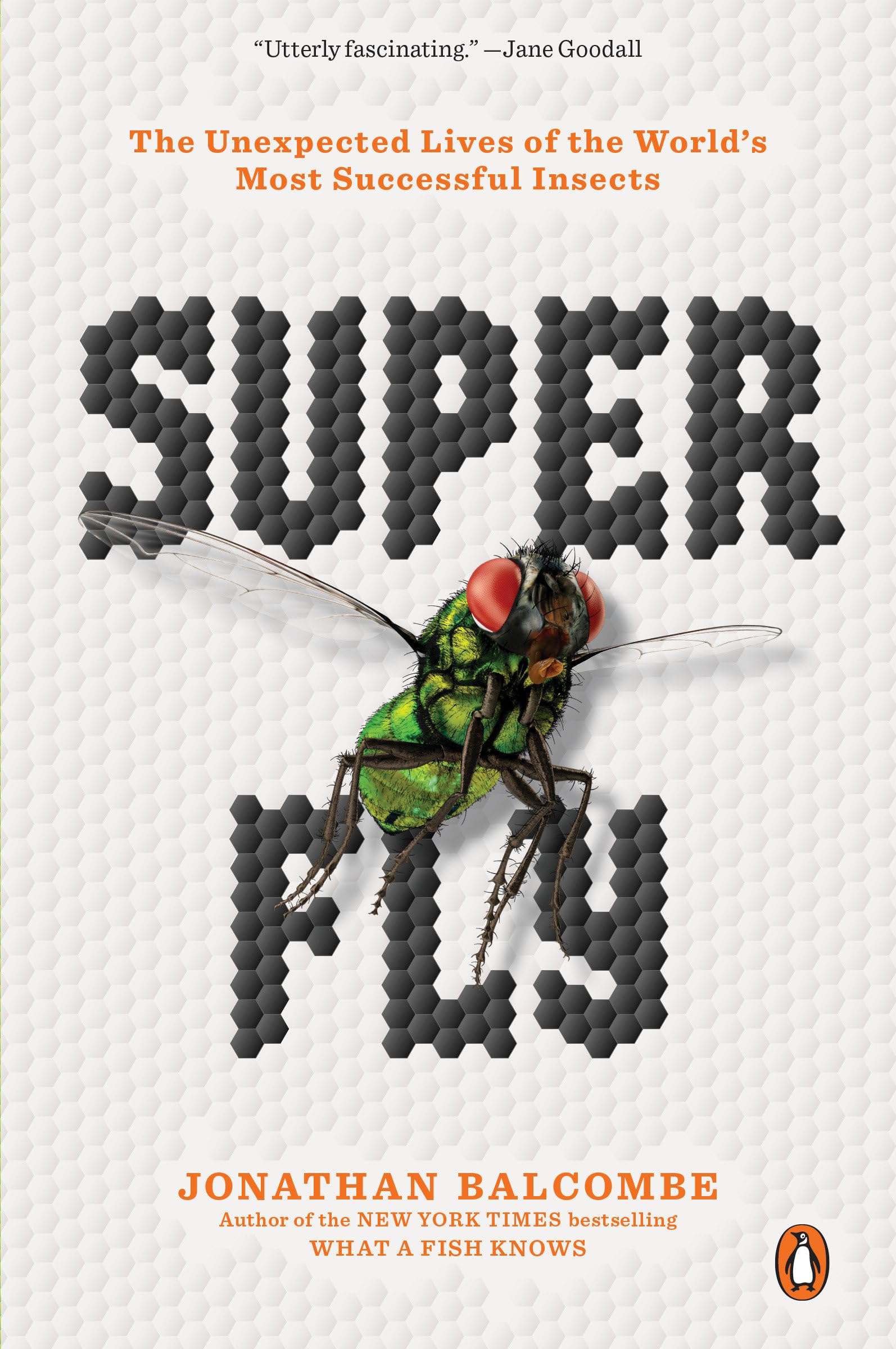 Super Fly: The Unexpected Lives of the World's Most Successful Insects Leisure, Home & Garden