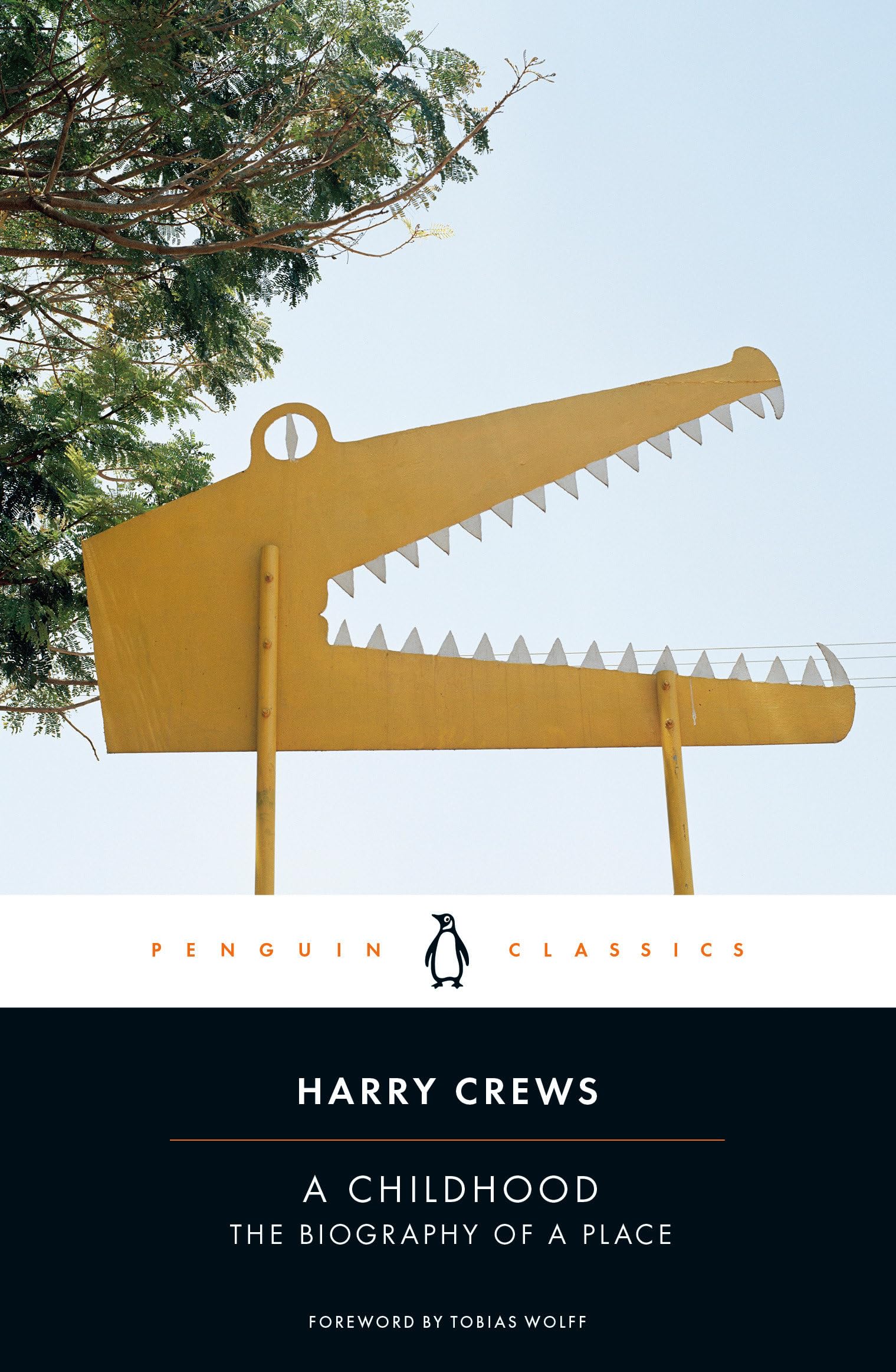 A Childhood: The Biography of a Place (Penguin Classics) Social Sciences