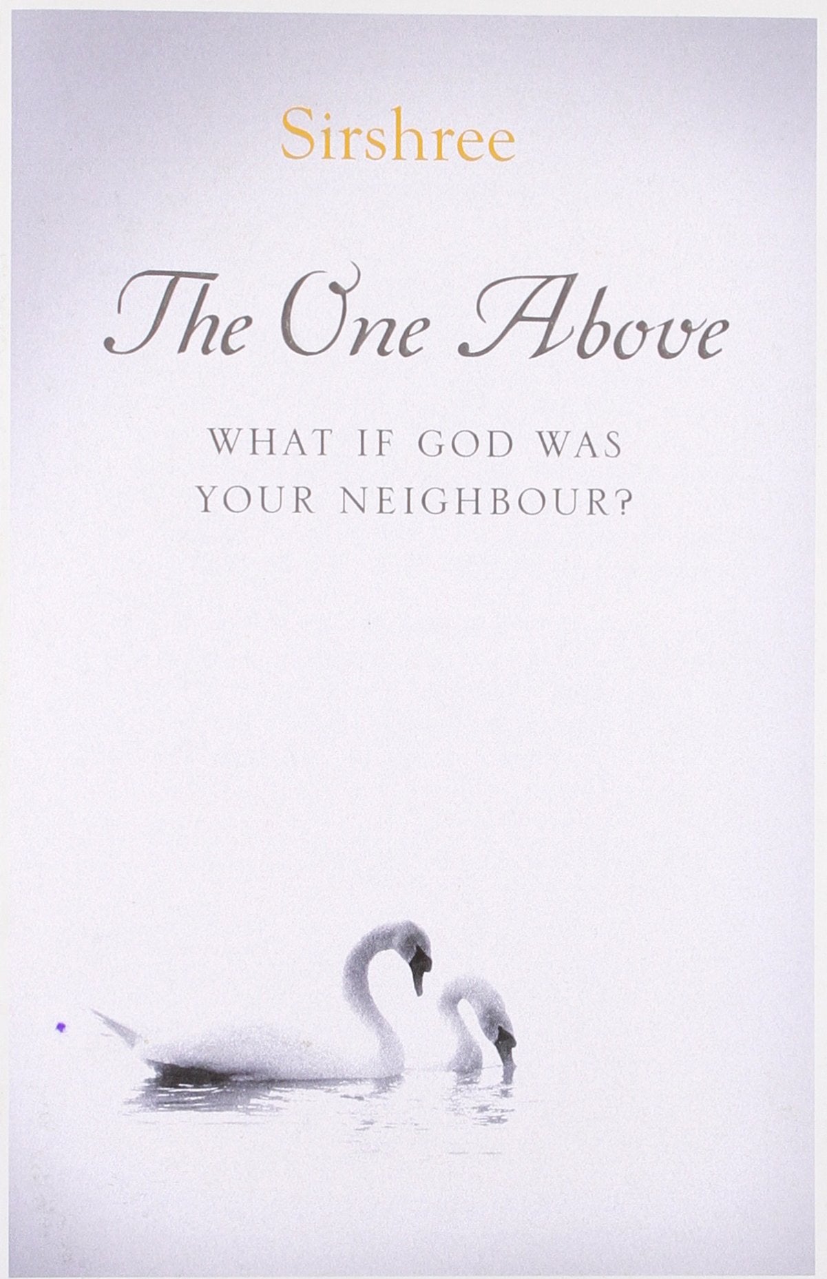 The One Above: What If God Was Your Neighbour? book