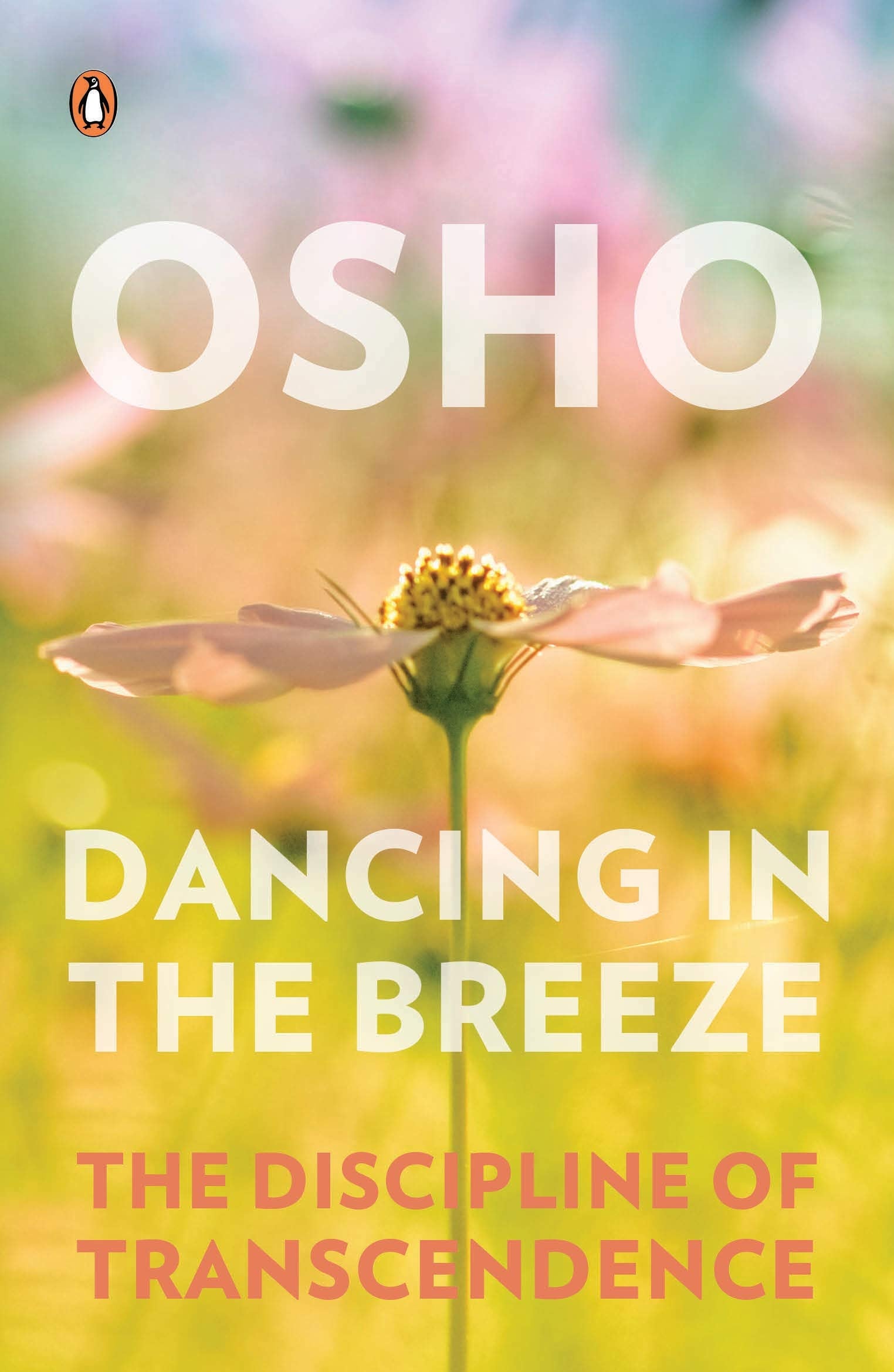 Dancing in the Breeze: The Discipline of Transcendence Religion & Esotericism
