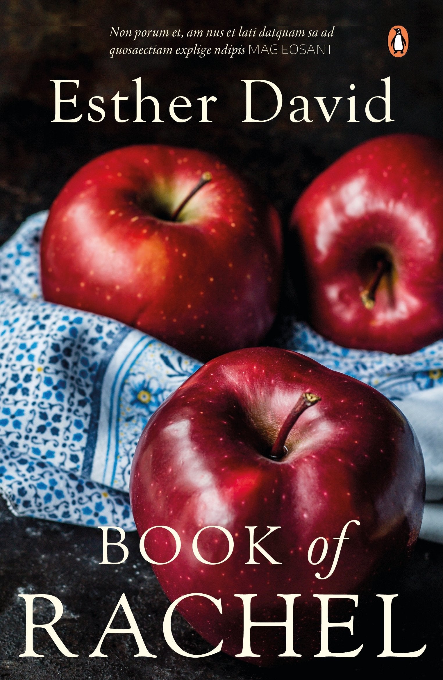 Book of Rachel Contemporary literature Books