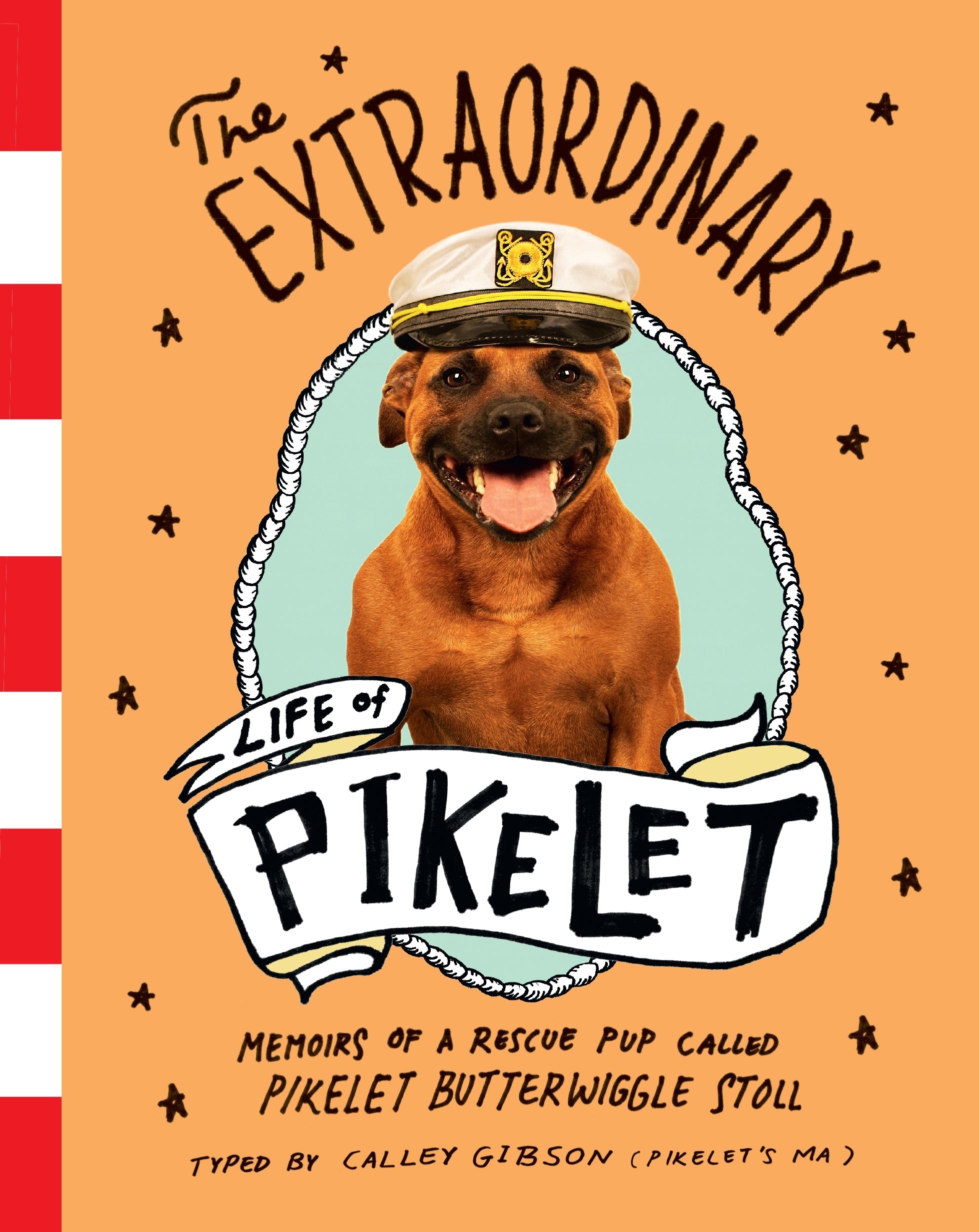 The Extraordinary Life of Pikelet Art & Literature