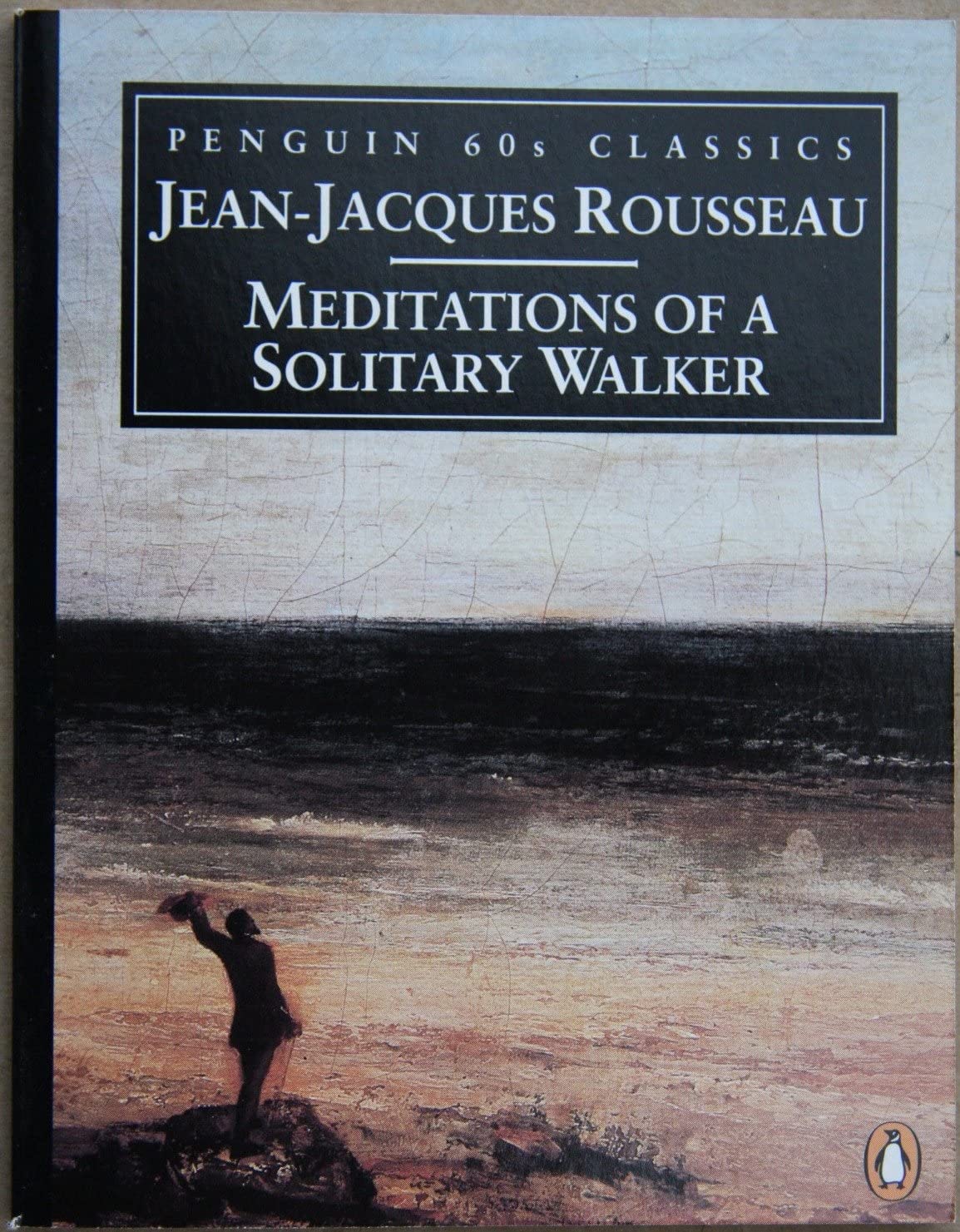 Meditations of a Solitary Walker book