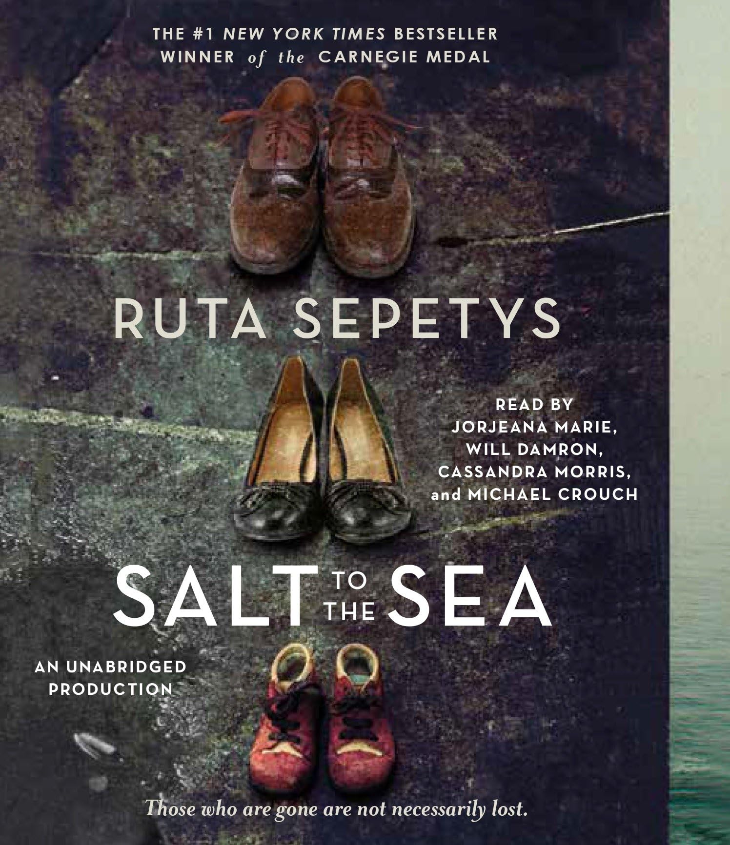 Salt to the Sea Education