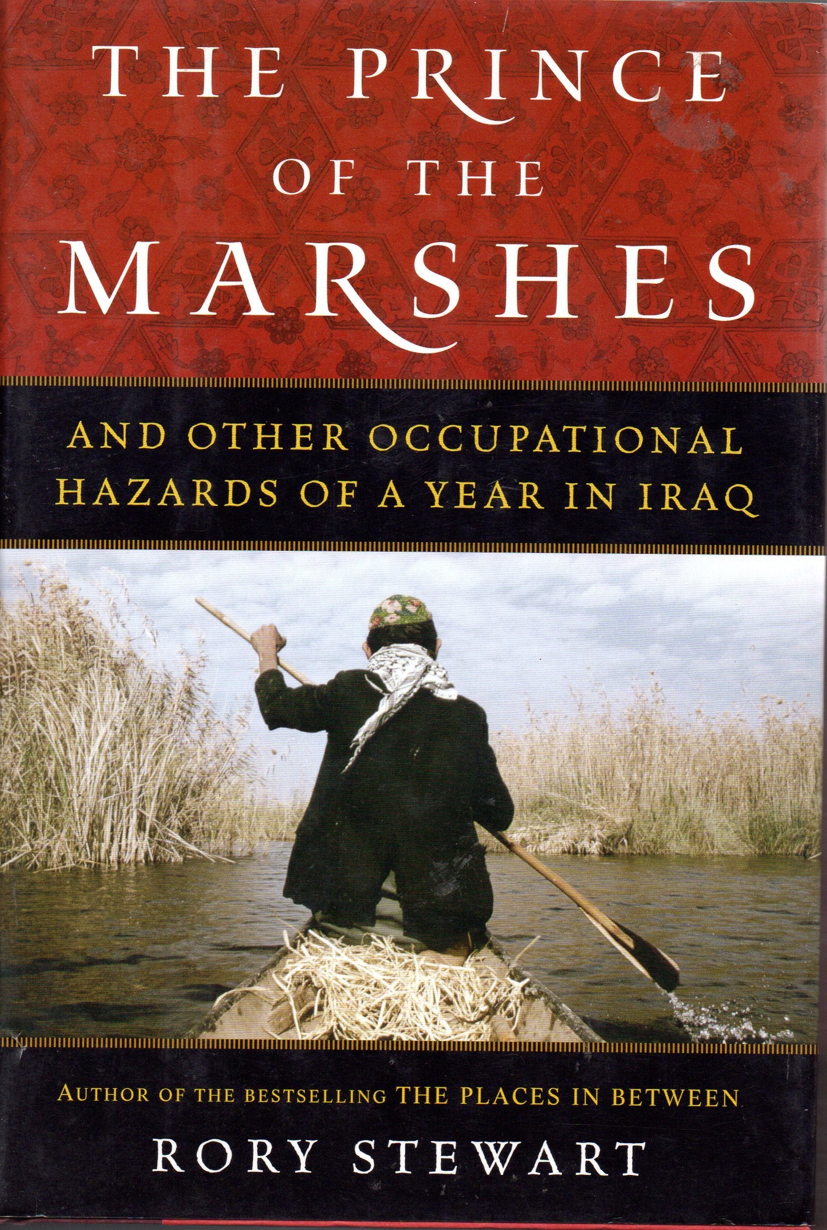 Prince of the Marshes: And Other Occupational Hazards of a Year in Iraq Contemporary literature Books