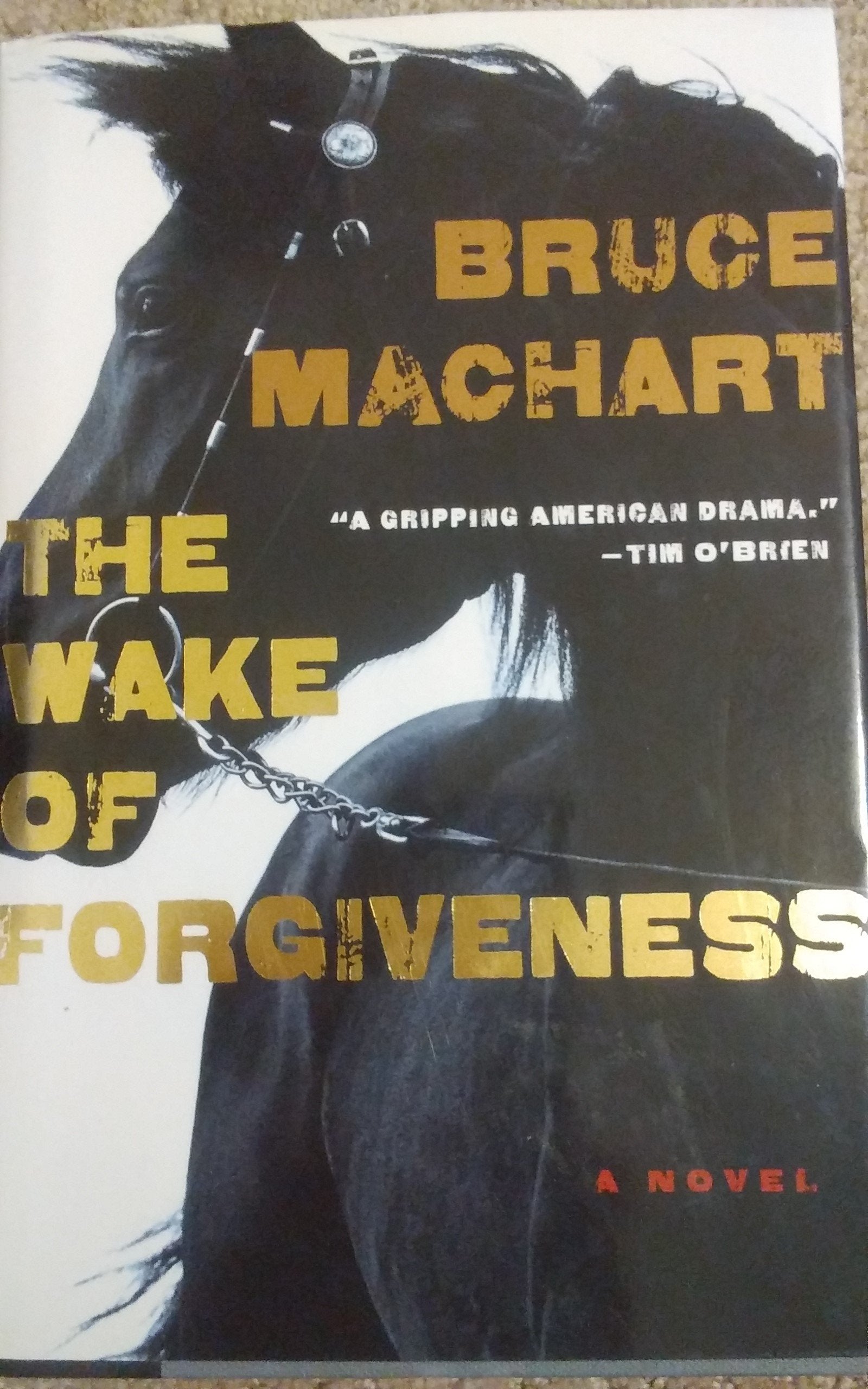 The Wake of Forgiveness book