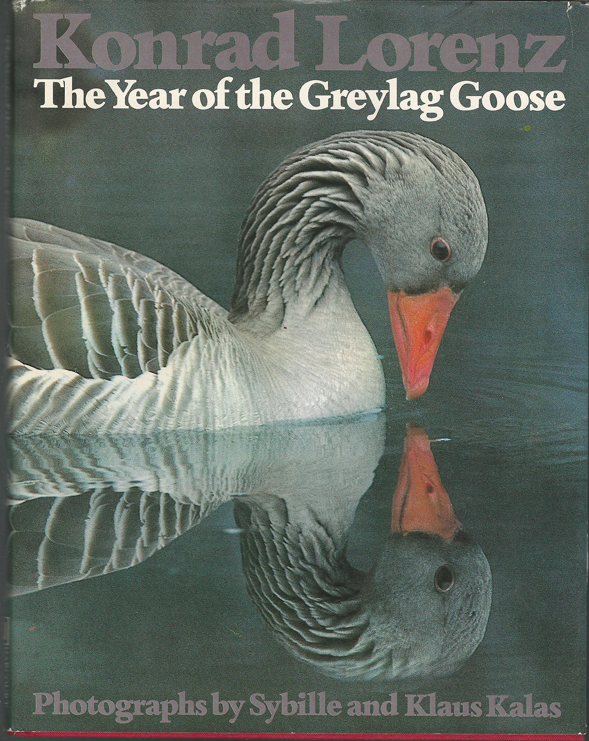 The Year of the Greylag Goose Books
