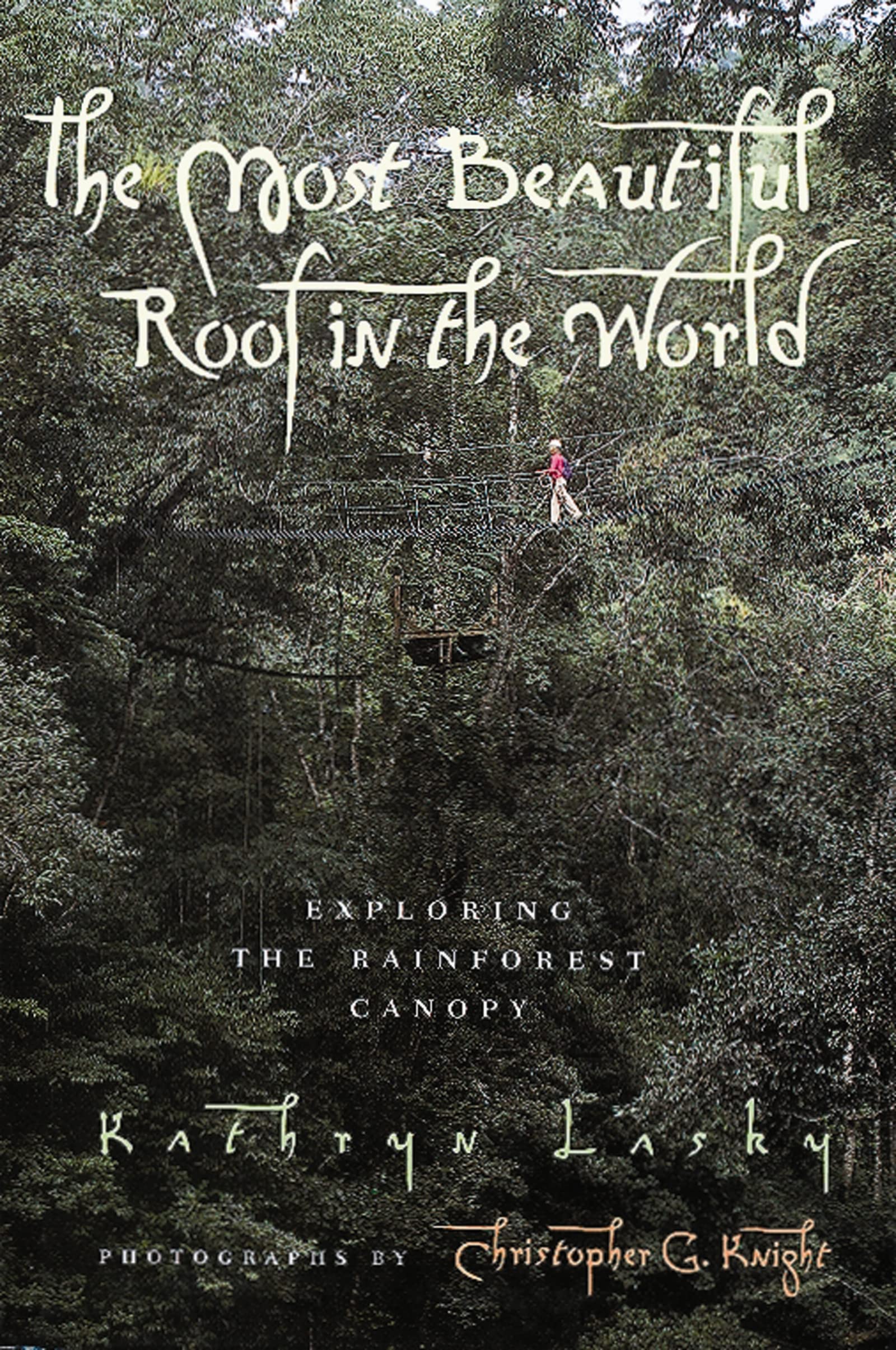 The Most Beautiful Roof in the World Business & Technology