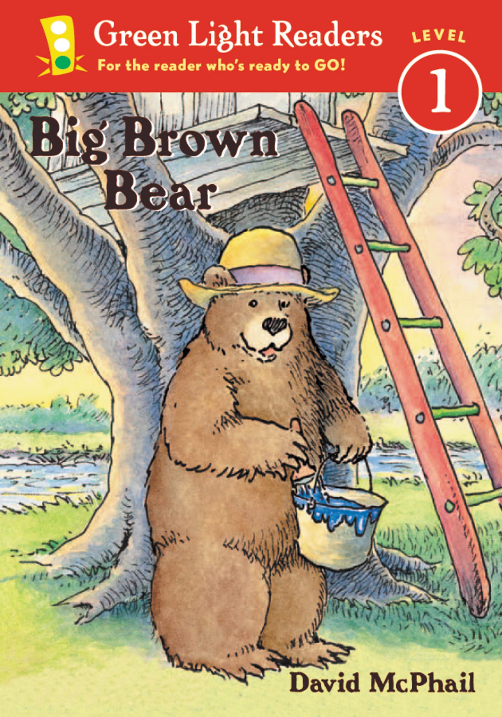 Big Brown Bear Foreign Languages ​​& Dictionaries