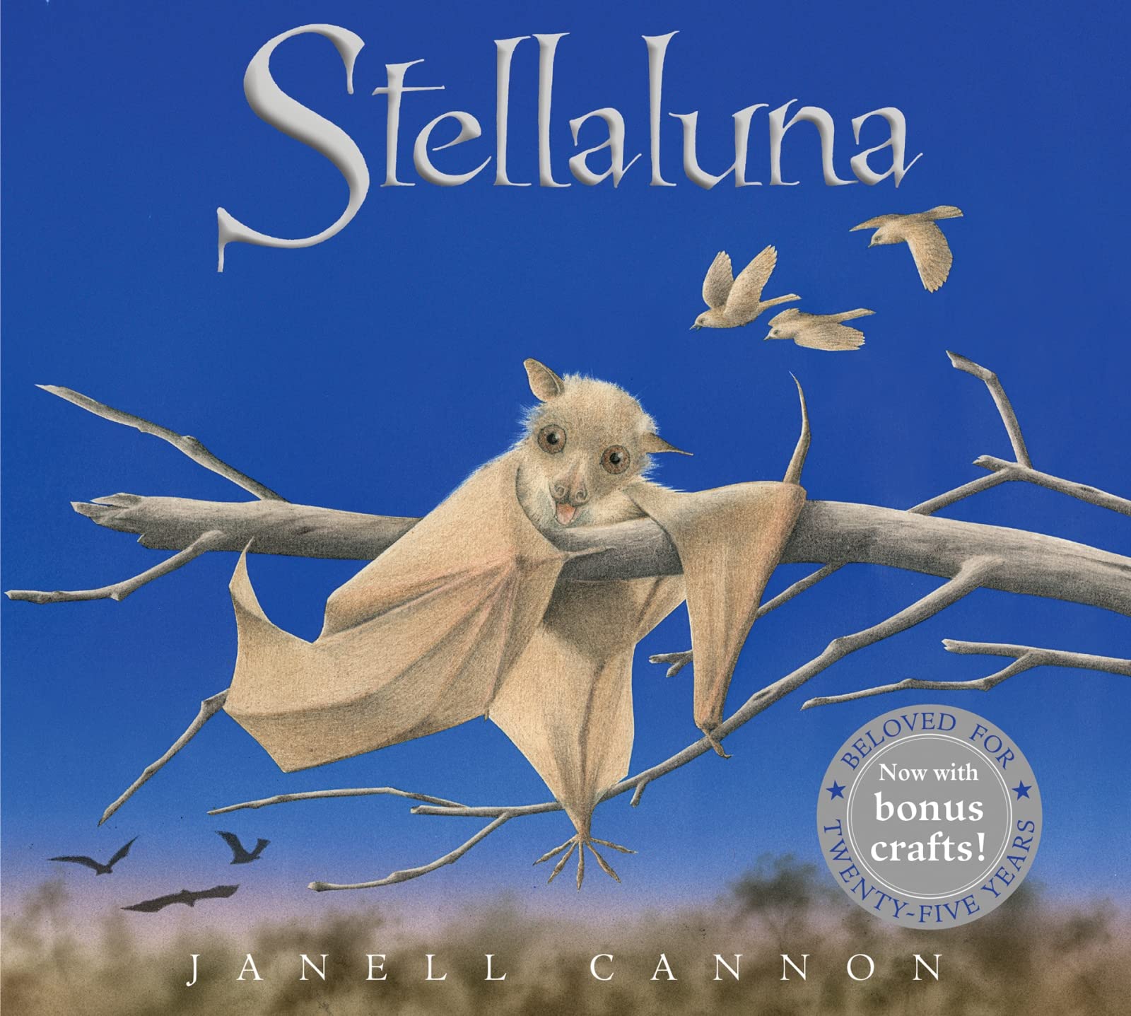 Product Image: Stellaluna Board Book