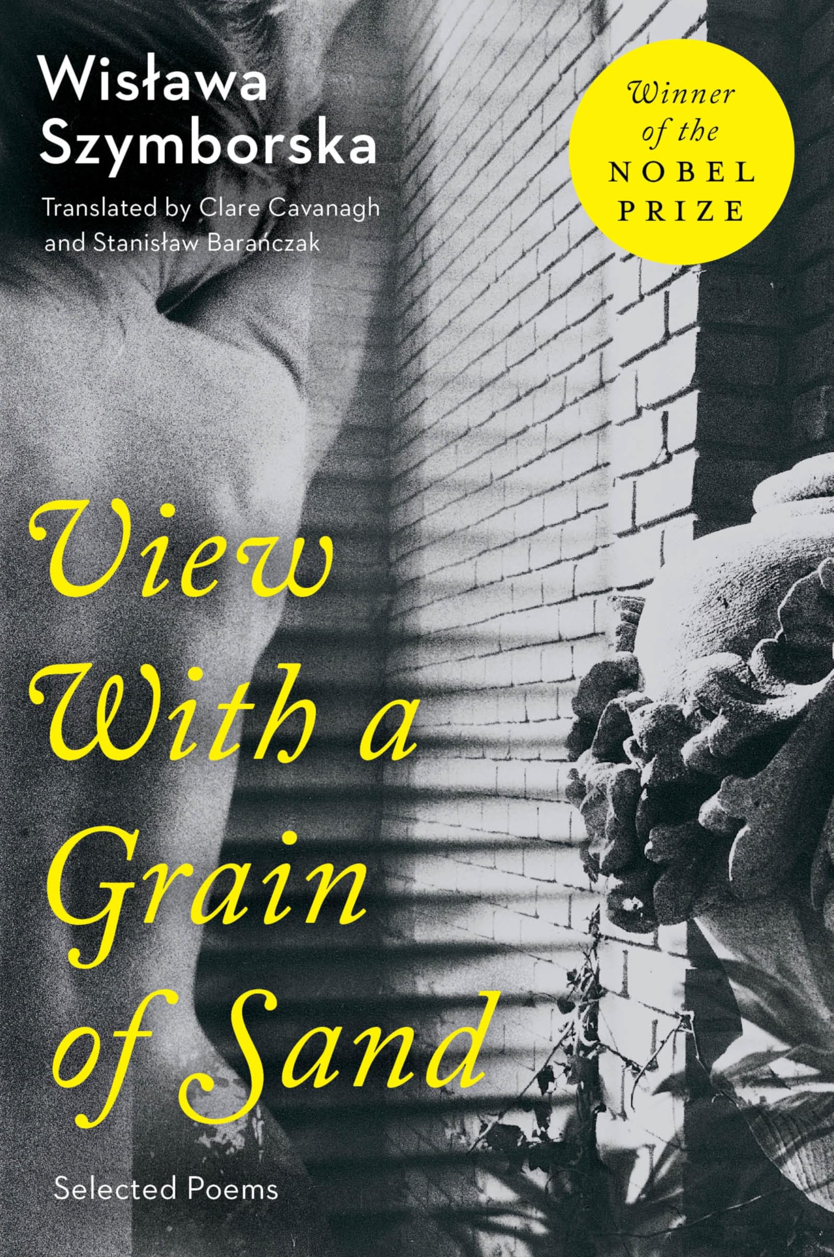 View with a Grain of Sand Contemporary literature