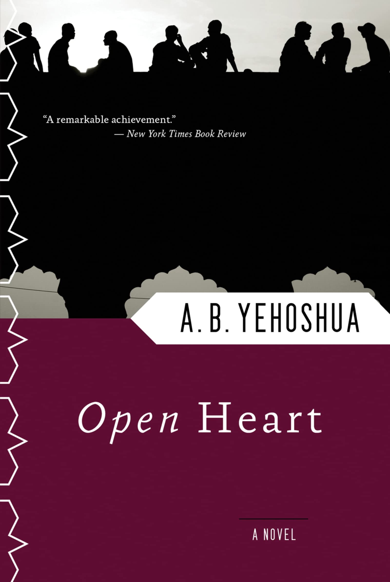 Open Heart Contemporary literature Books