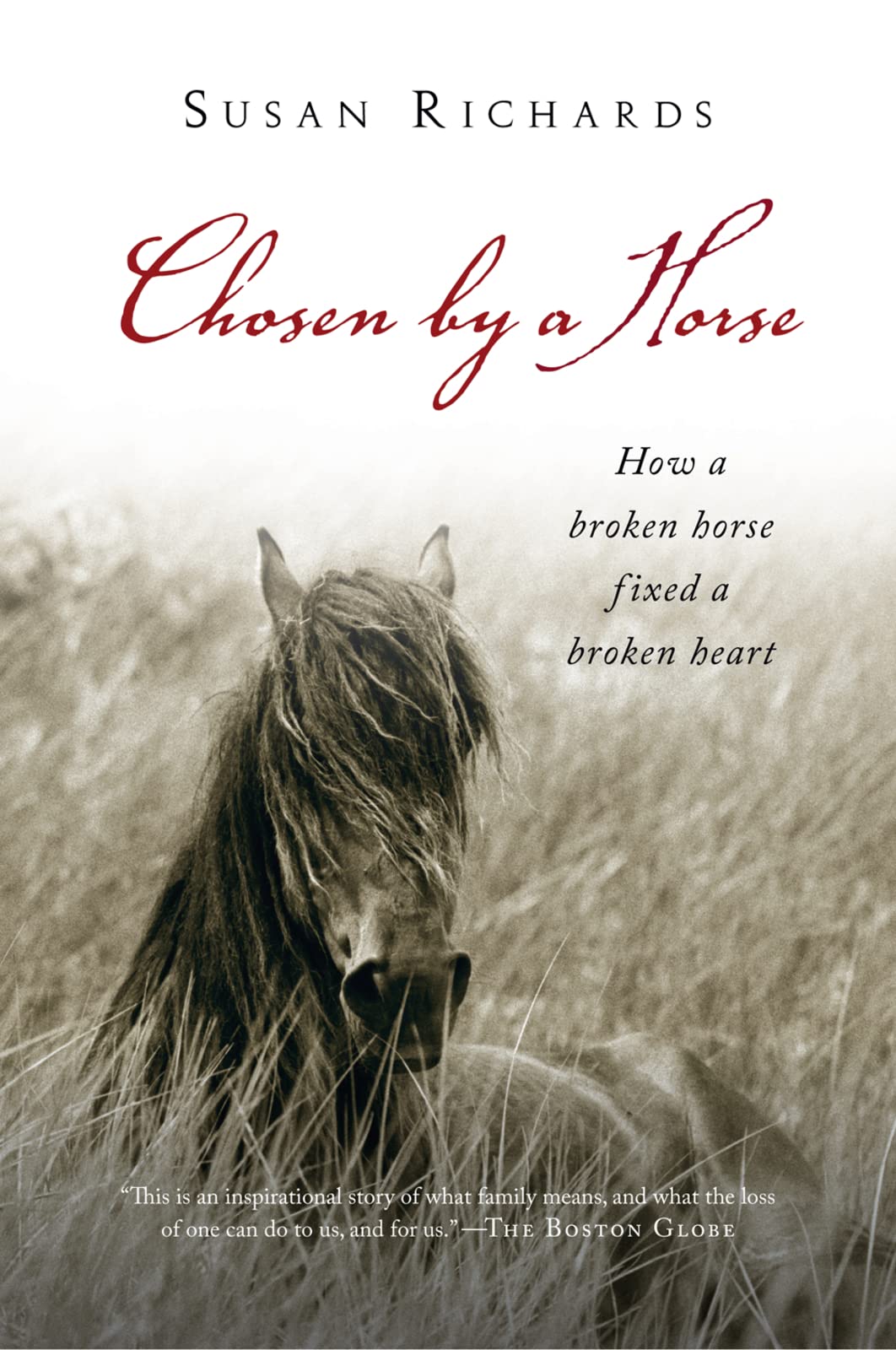Product Image: Chosen by a Horse