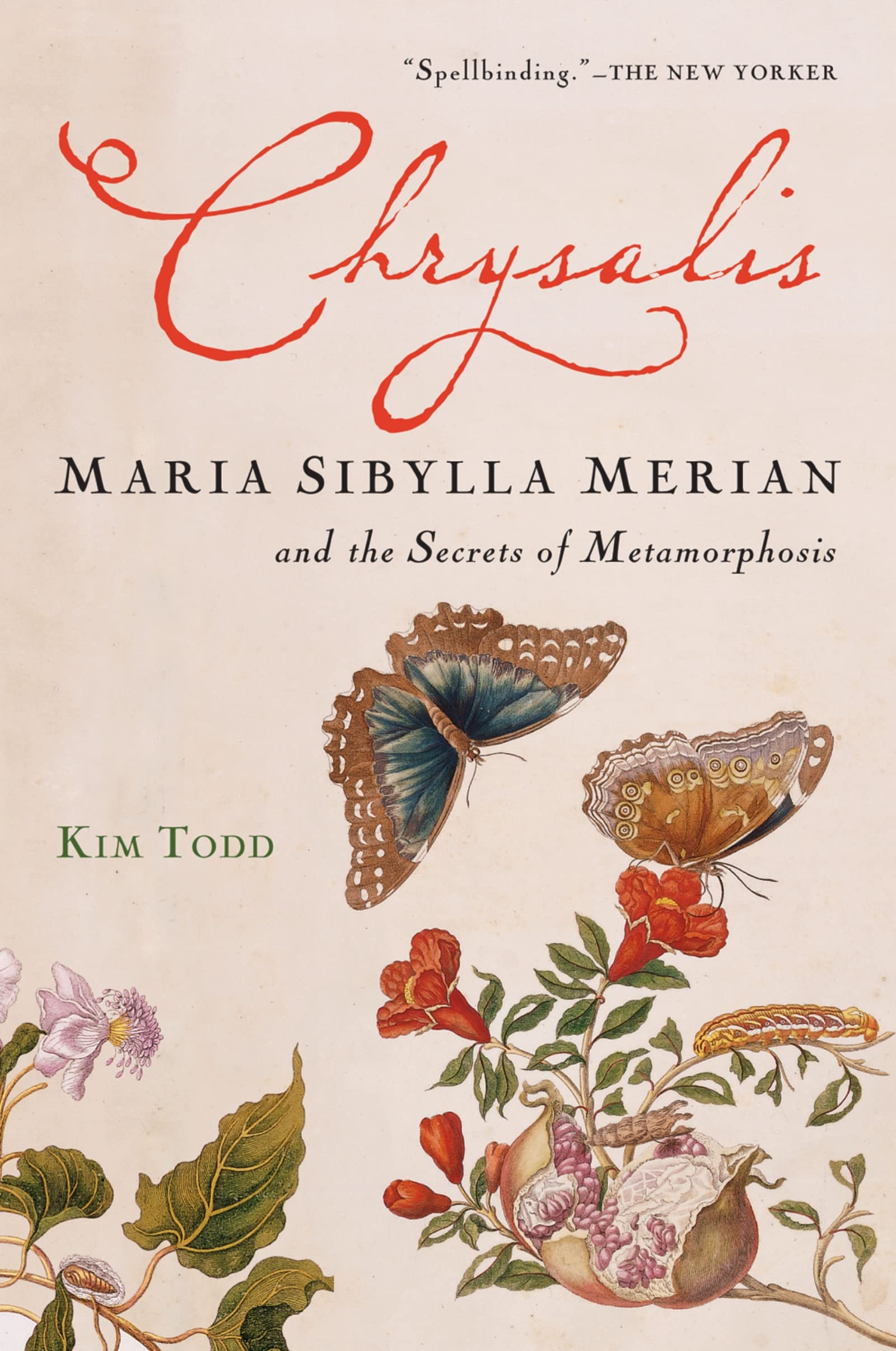Chrysalis: Maria Sibylla Merian and the Secrets of Metamorphosis book