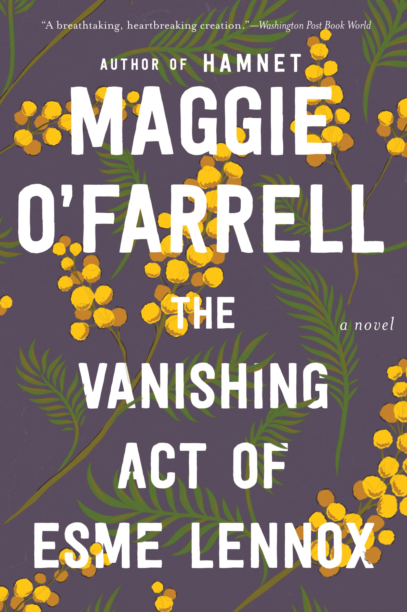 The Vanishing Act of Esme Lennox Social Sciences