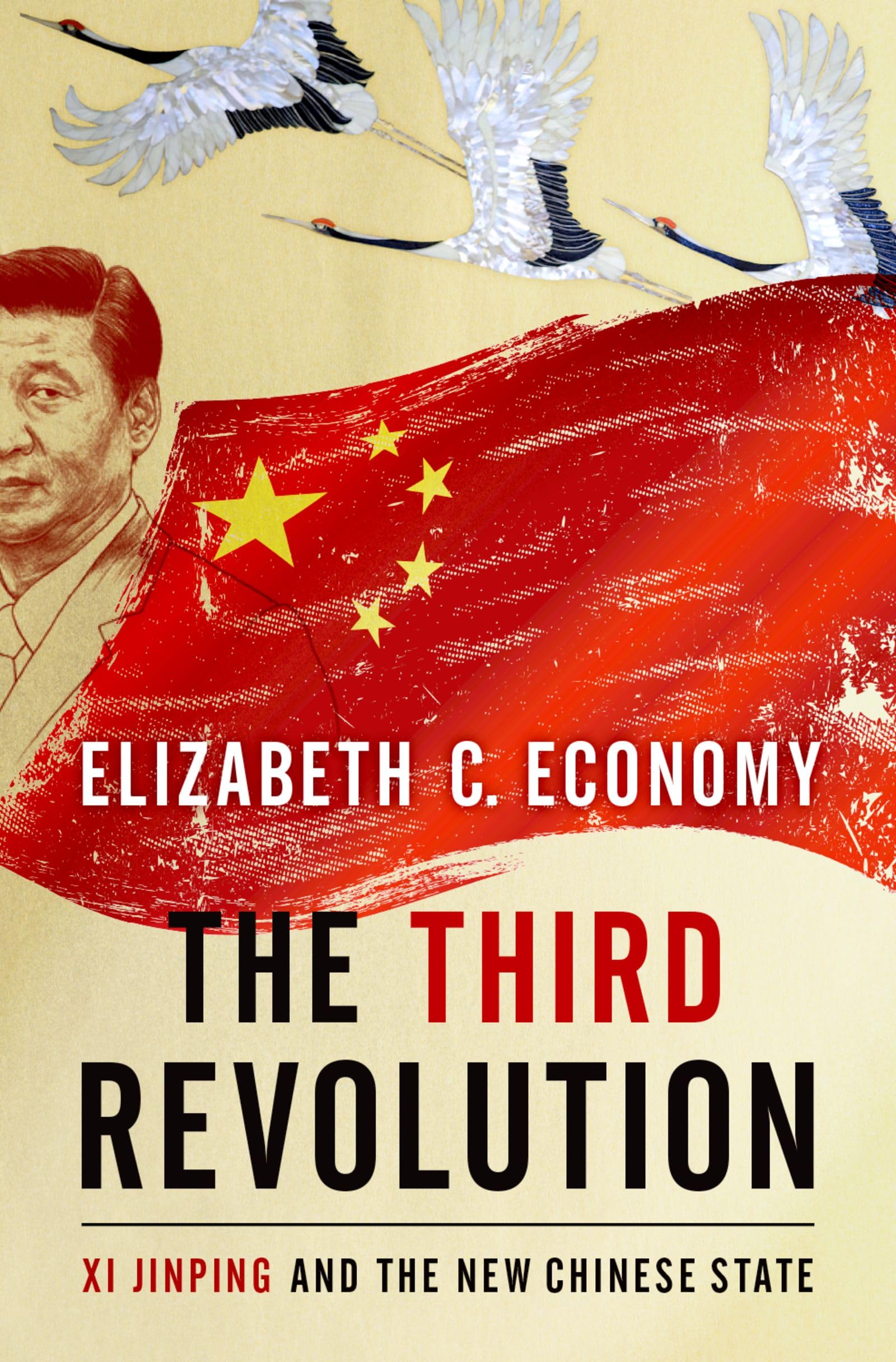 The Third Revolution: Xi Jinping and the New Chinese State Politics & History