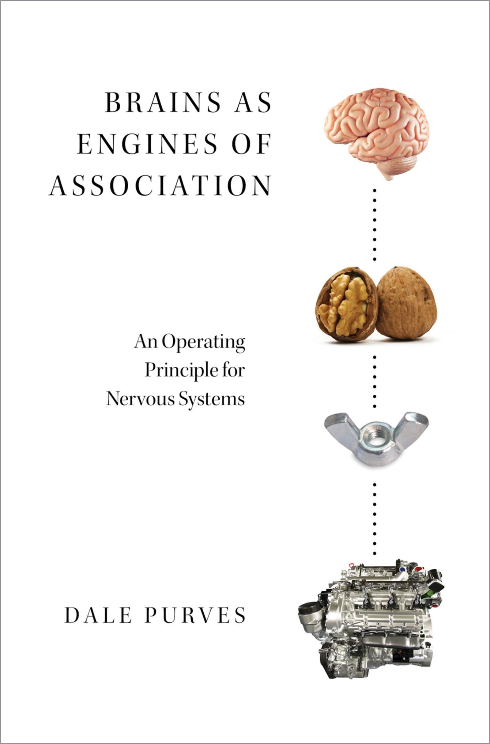 BRAINS AS ENGINES OF ASSOCIATION C: An Operating Principle for Nervous Systems Medicine