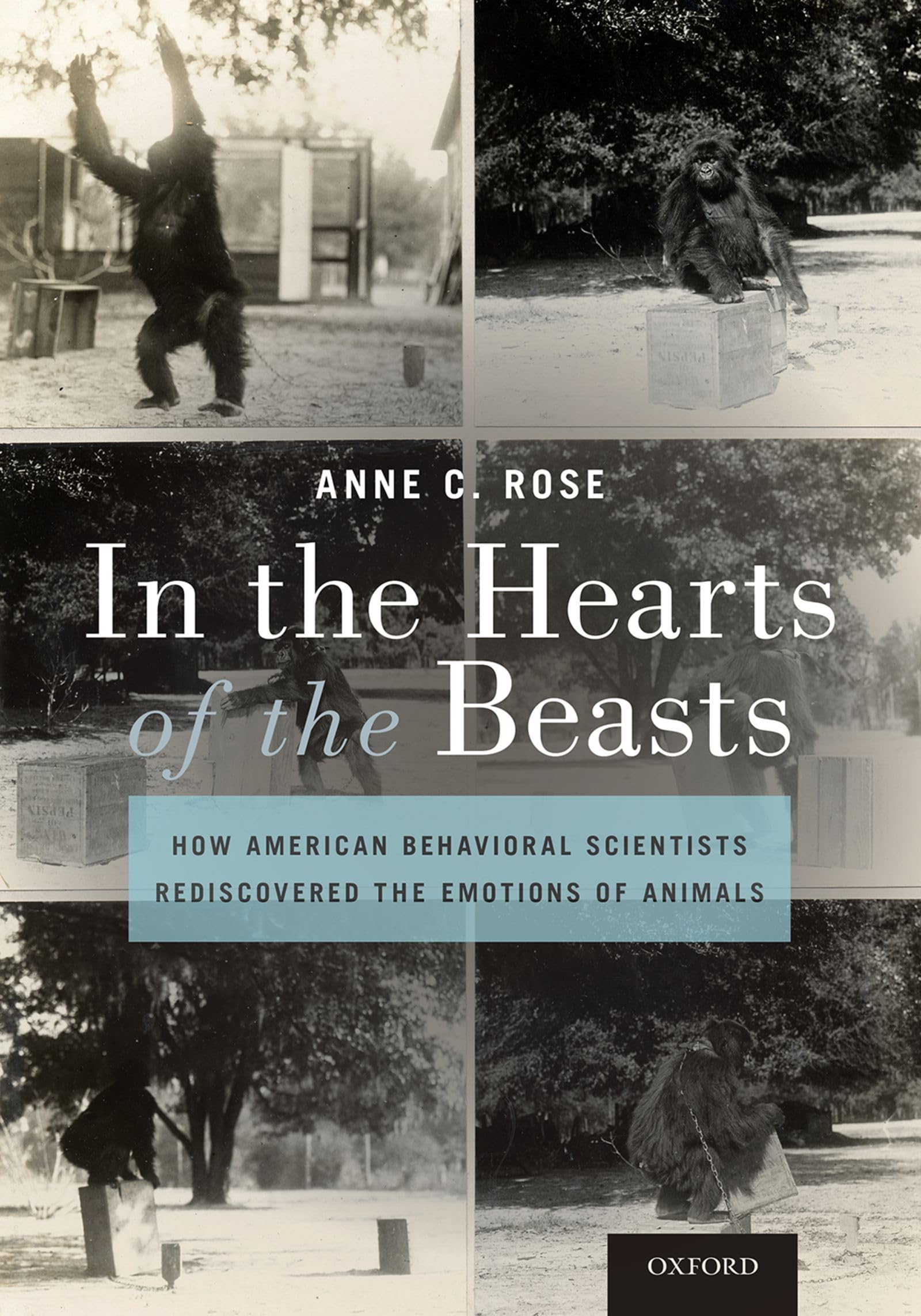 In the Hearts of the Beasts Psychology
