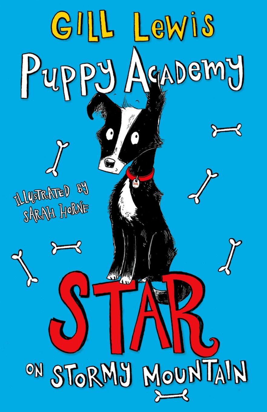 Puppy Academy: Star on Stormy Mountain book