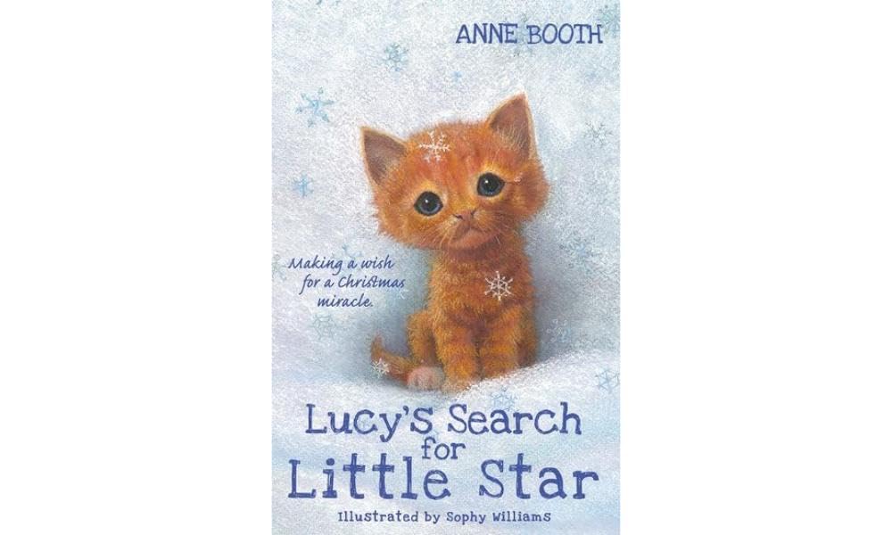 Lucy's Search for Little Star Novels & Short Stories