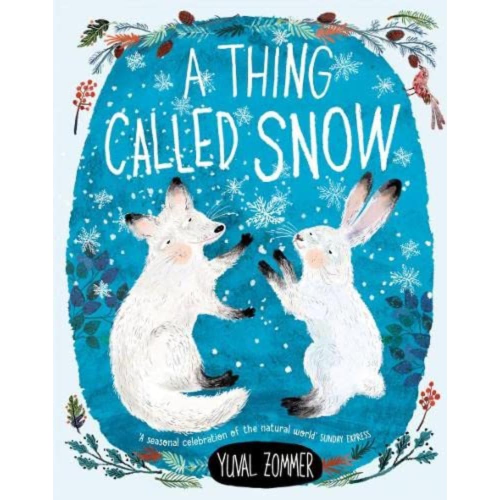 A Thing Called Snow Novels & Short Stories for children