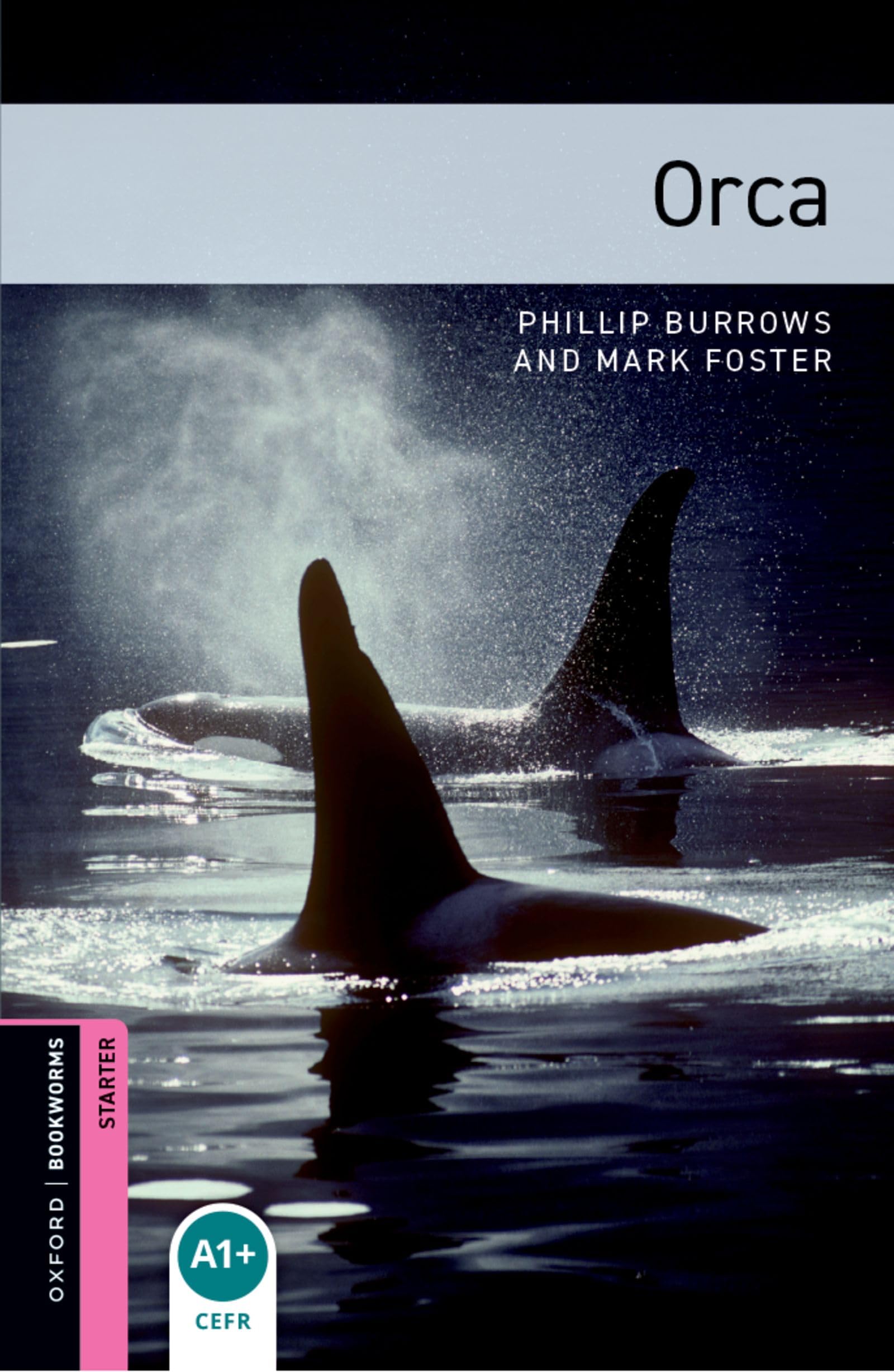 5. Schuljahr, Stufe 1 - Orca - Neubearbeitung Contemporary literature