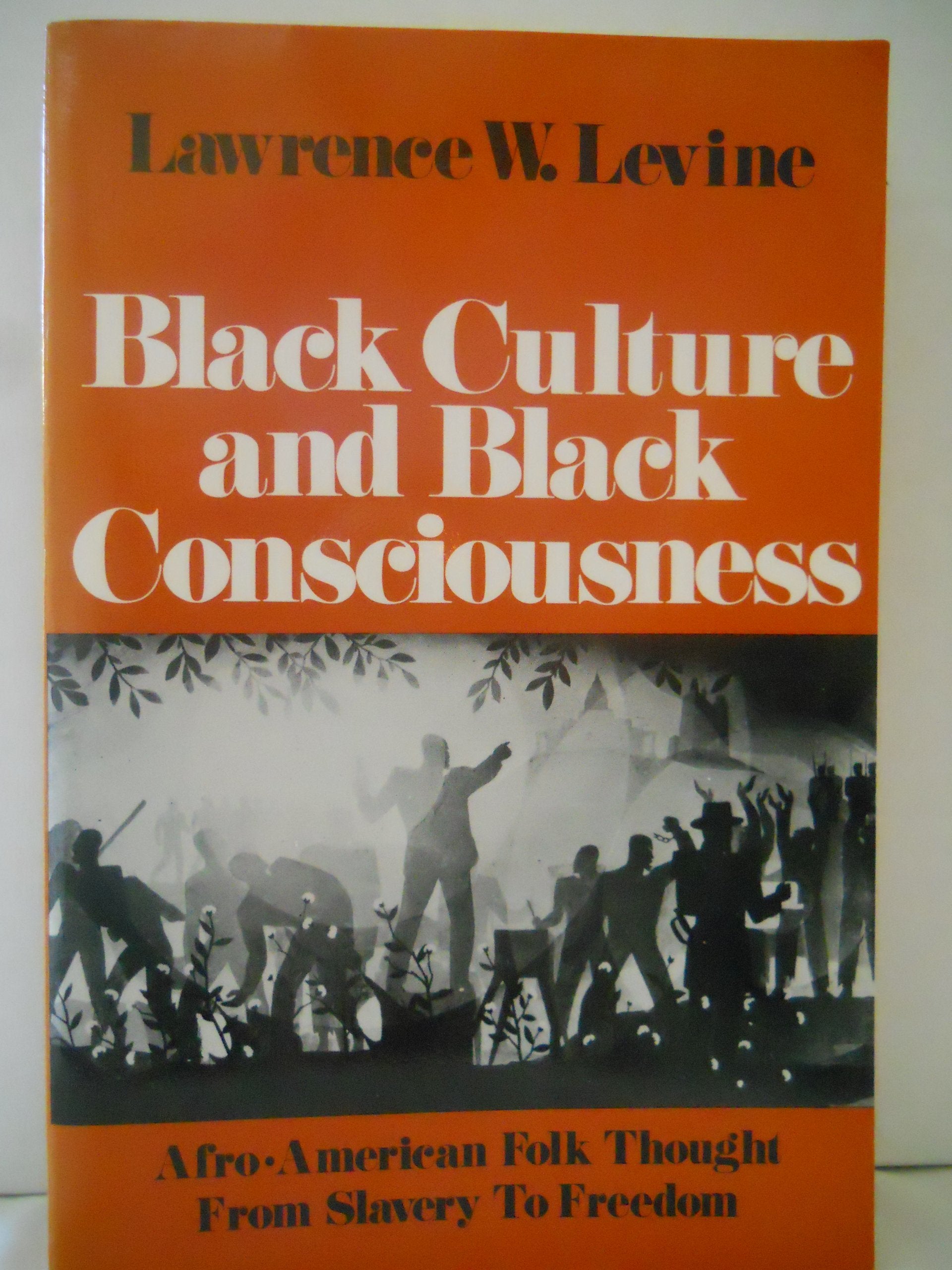 Black Culture and Black Consciousness: Afro-American Folk Thought from Slavery to Freedom Social Sciences
