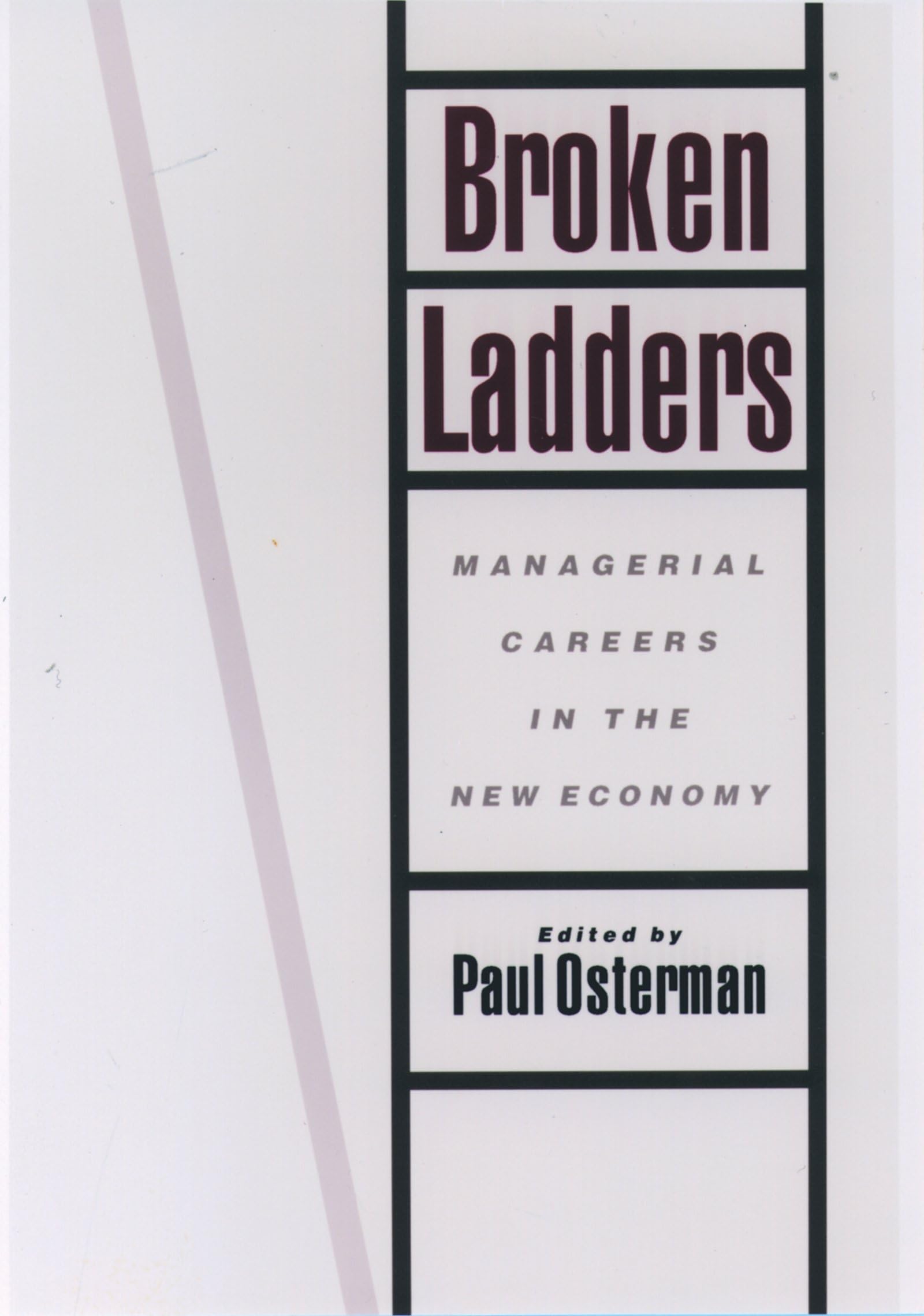 Broken Ladders: Managerial Careers in the New Economy Business, Finance & Career