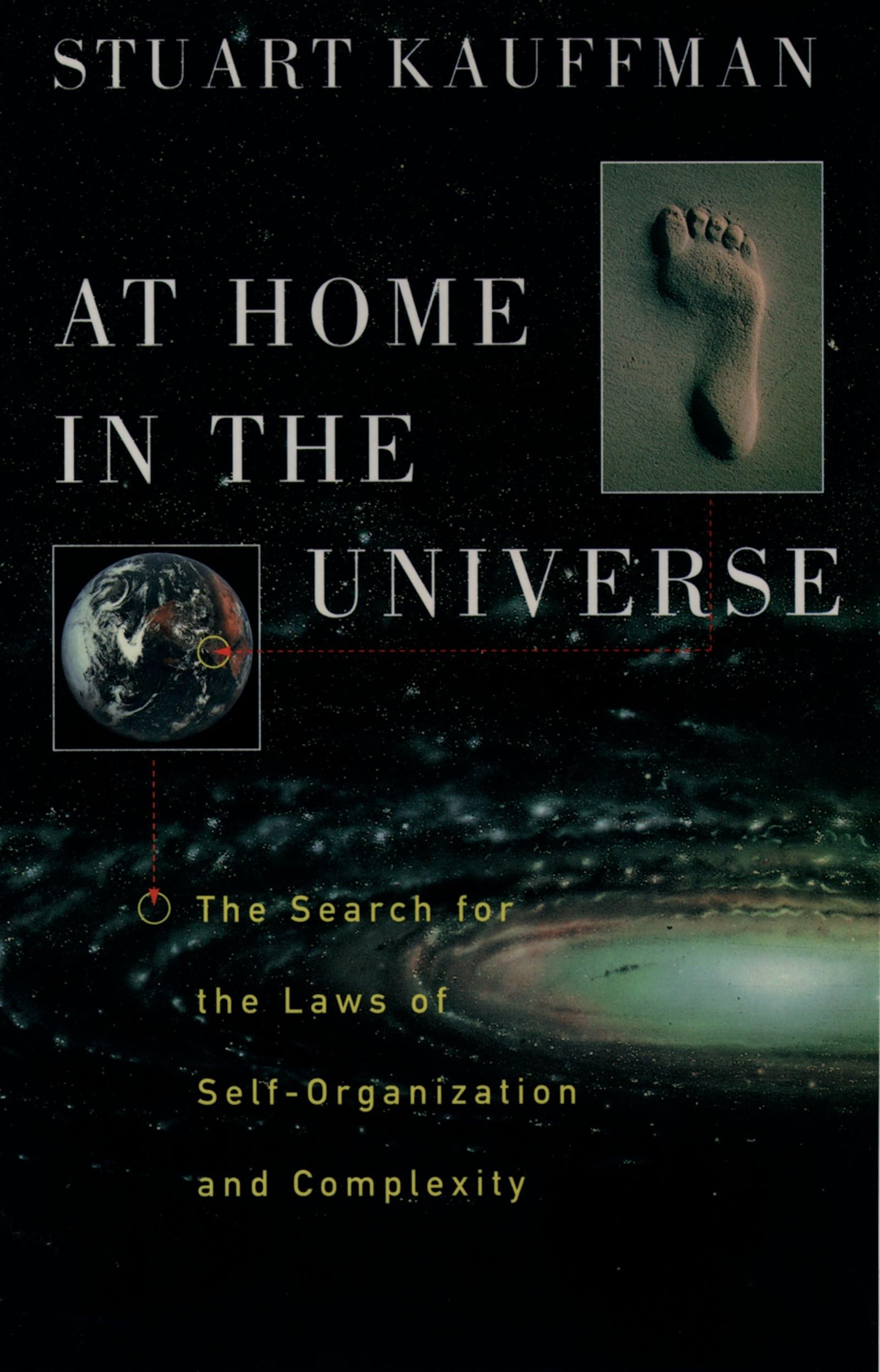 At Home in the Universe: The Search for the Laws of Self-Organization and Complexity Classics