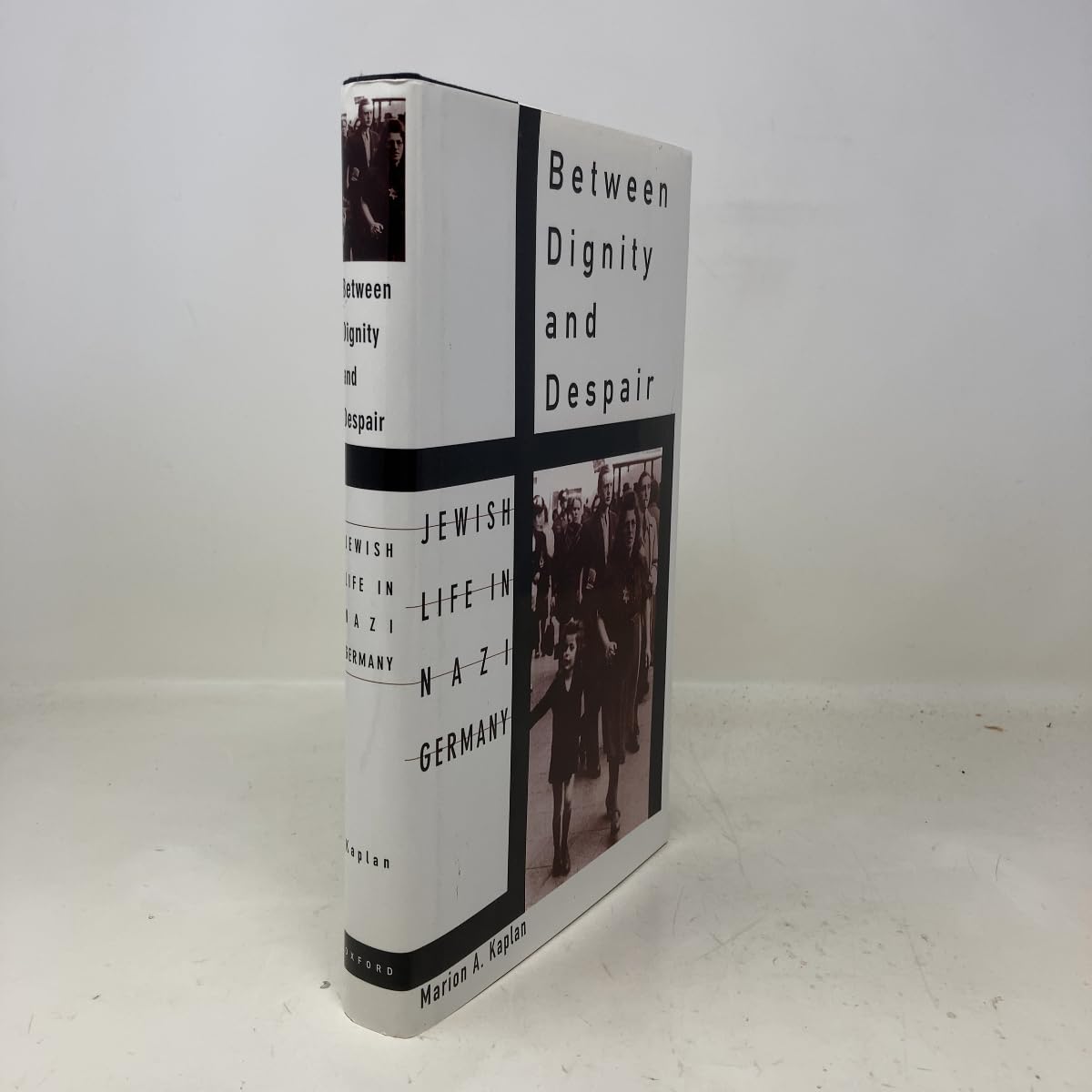 Between Dignity and Despair: Jewish Life in Nazi Germany (Studies in Jewish History) Religion & Esotericism
