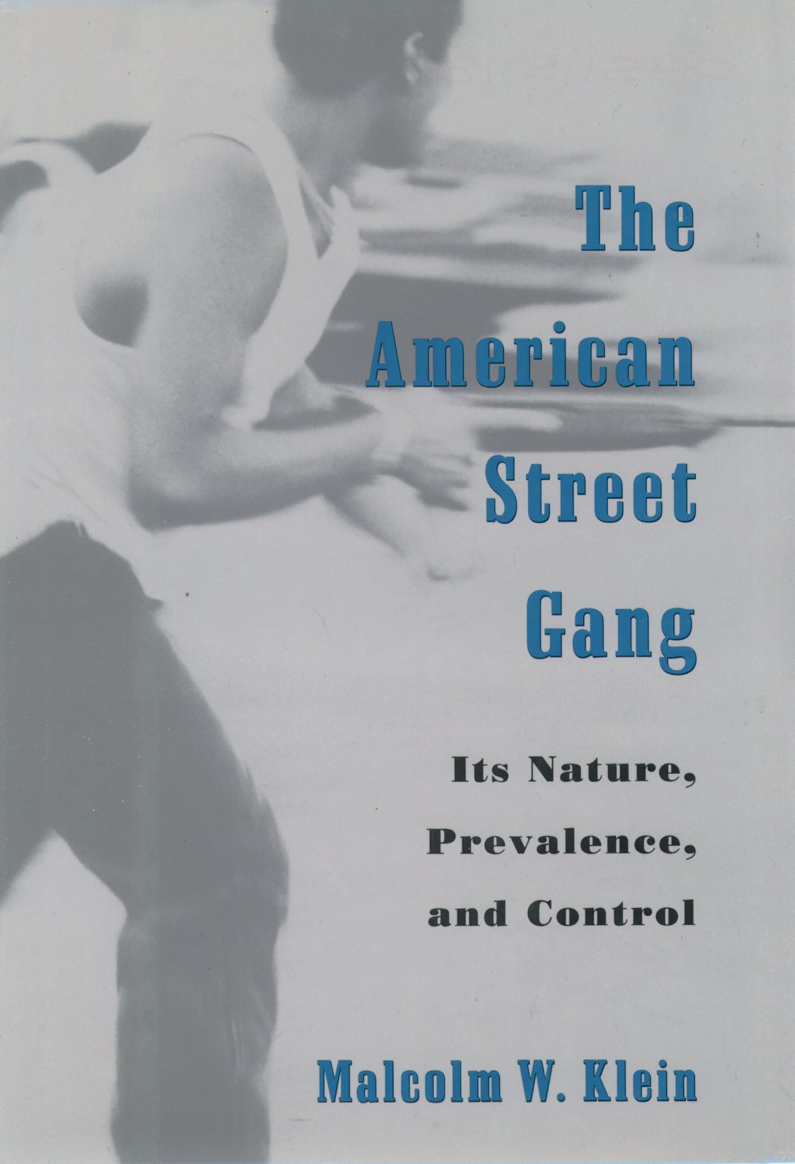 The American Street Gang: Its Nature, Prevalence, and Control (Studies in Crime and Public Policy) Law