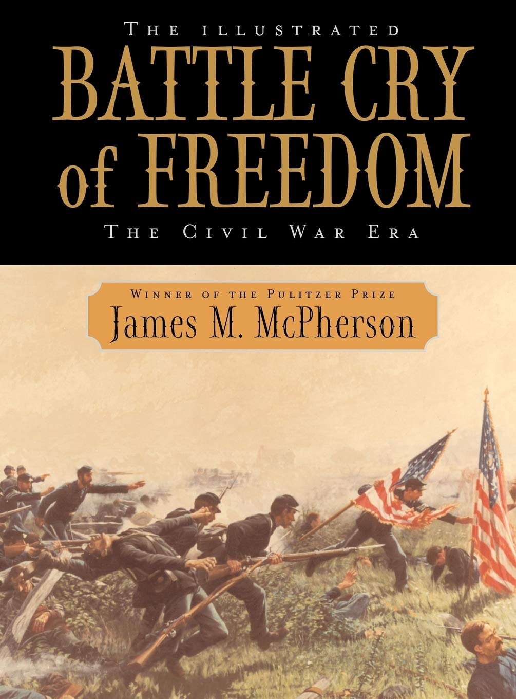 The Illustrated Battle Cry of Freedom book