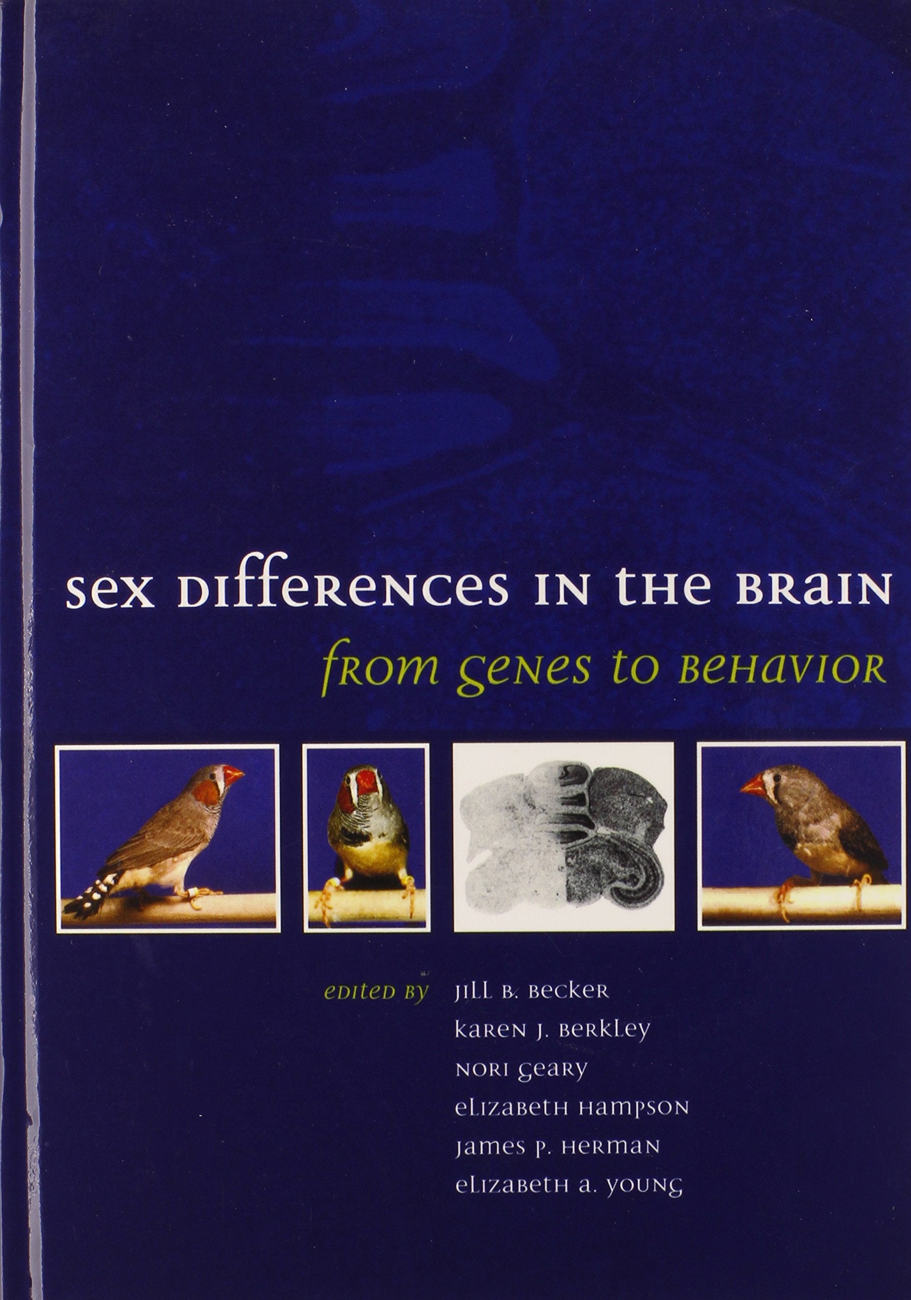 Sex Differences in the Brain: From Genes to Behavior Medicine