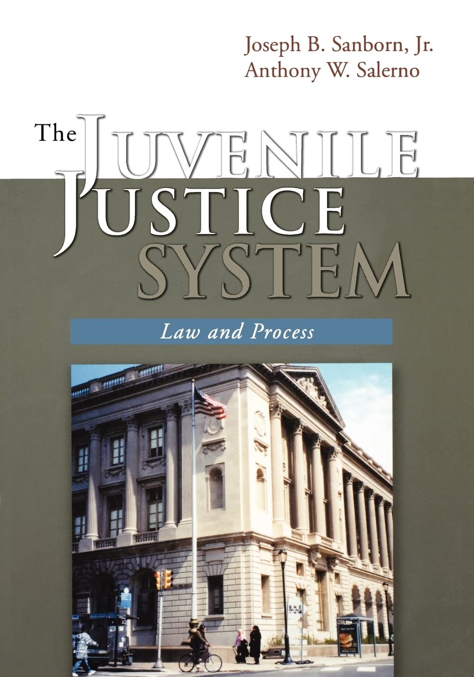 Product Image: The Juvenile Justice System