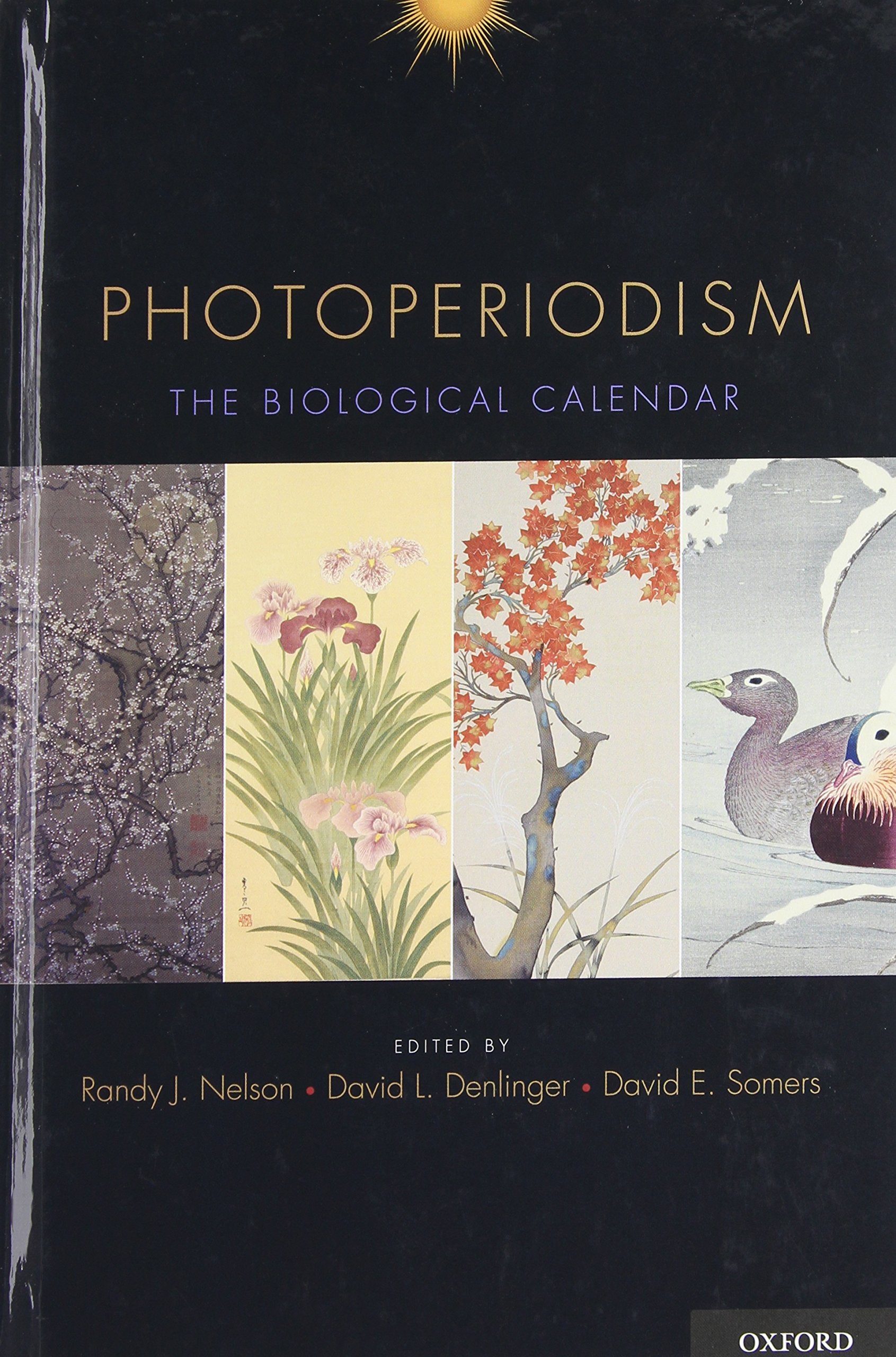 Photoperiodism: The Biological Calendar Medicine
