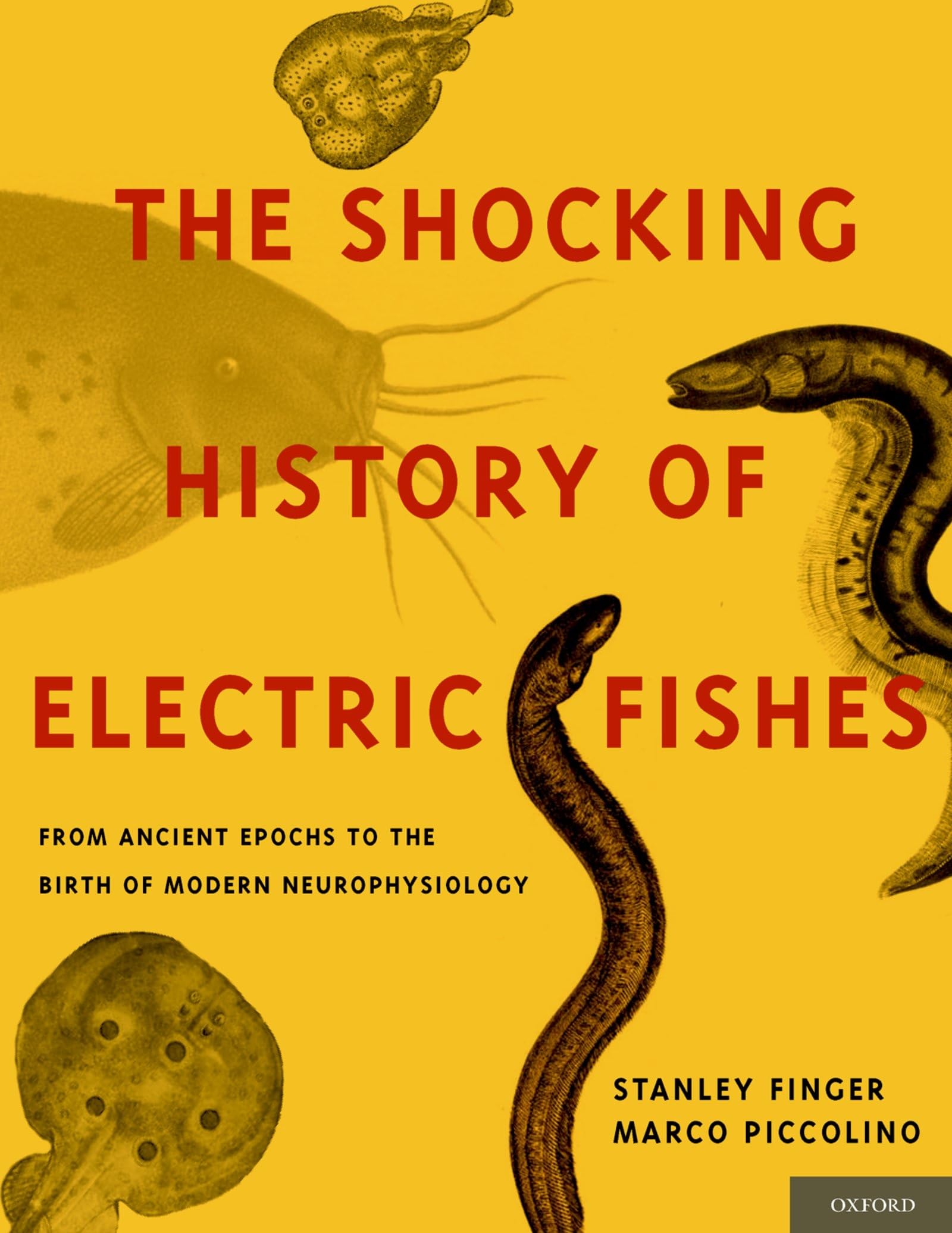 Shocking History of Electric Fishes Medicine