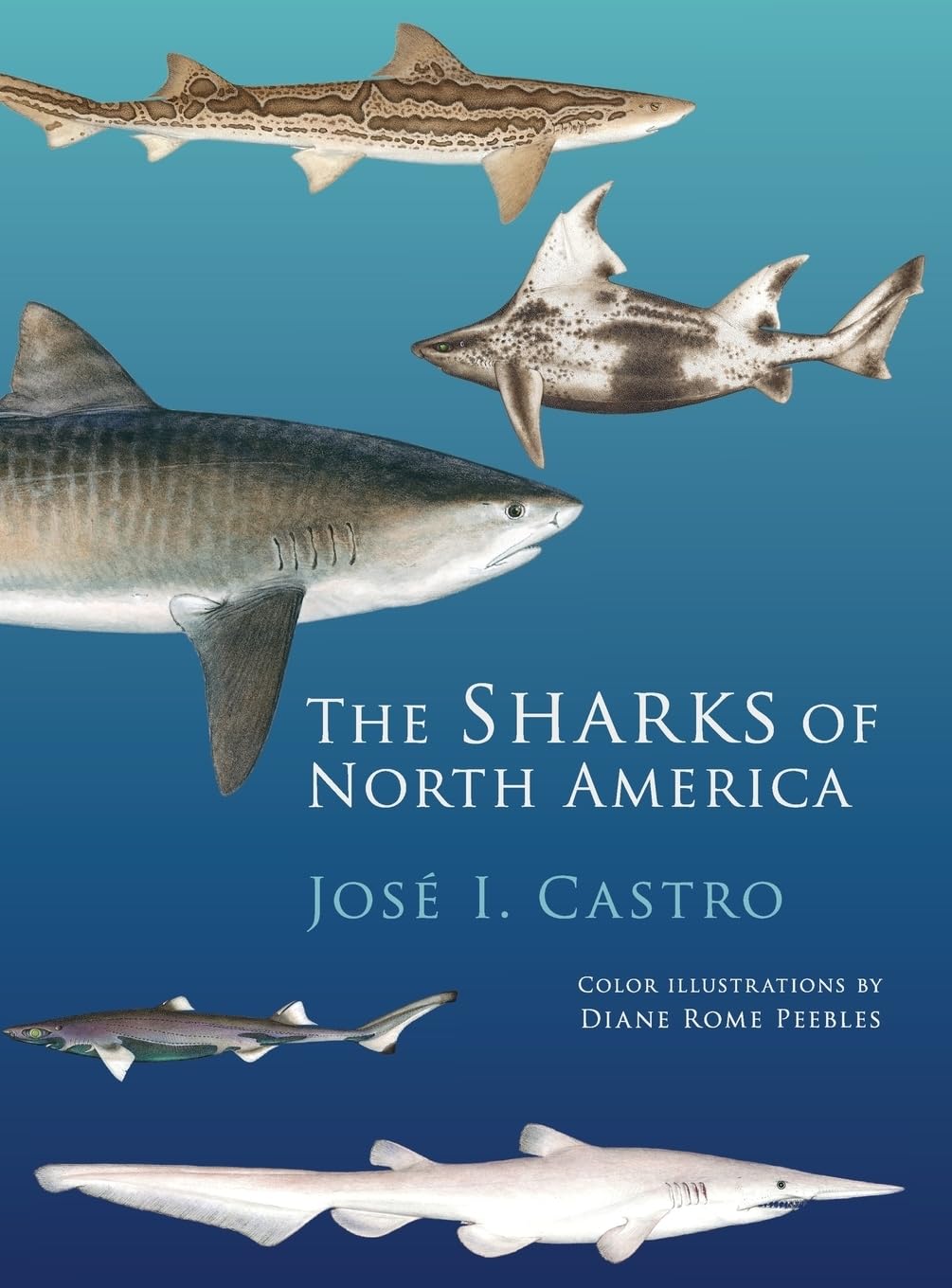 Sharks of North America Mathematics