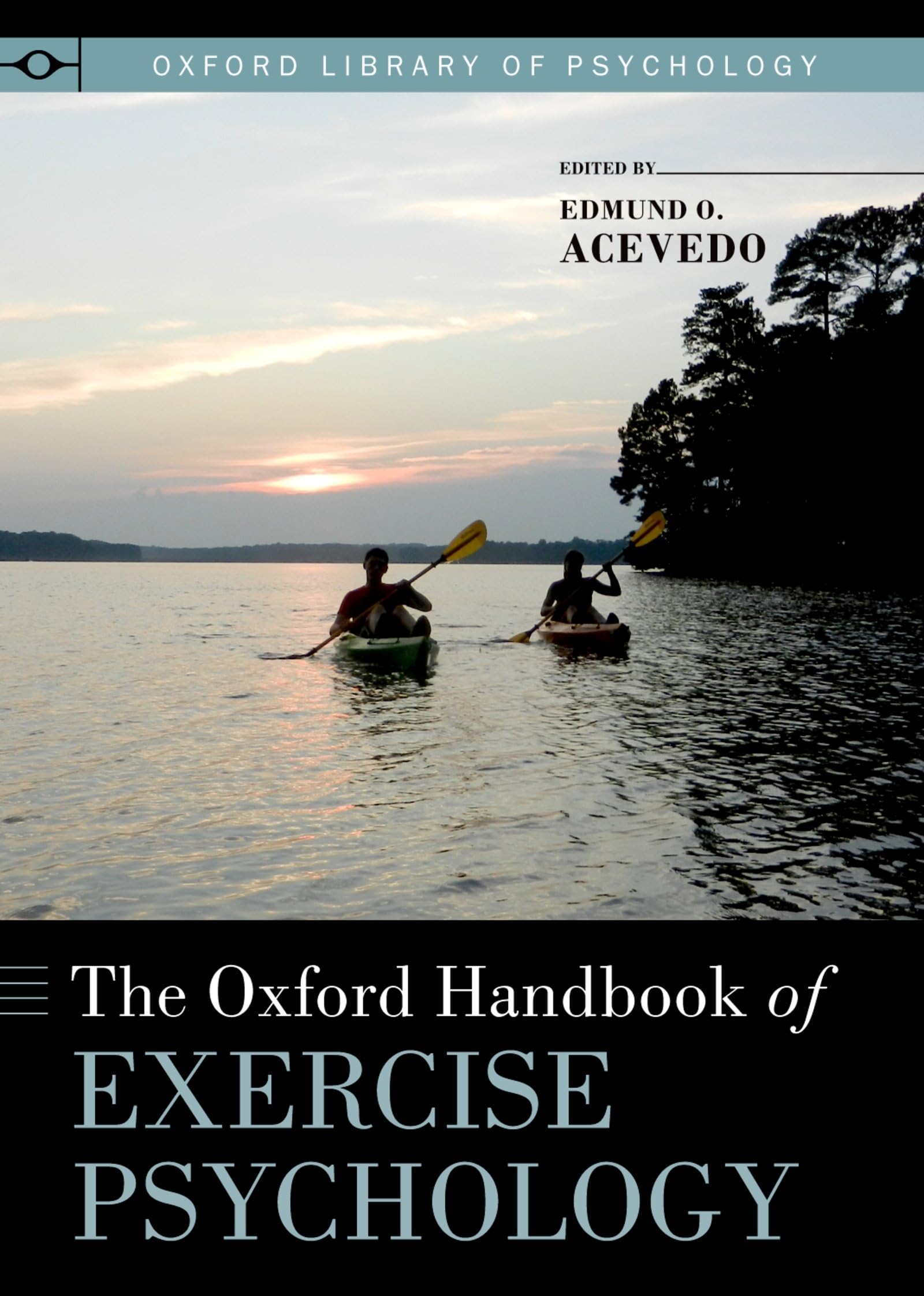 Oxford Handbook of Exercise Psychology Medicine