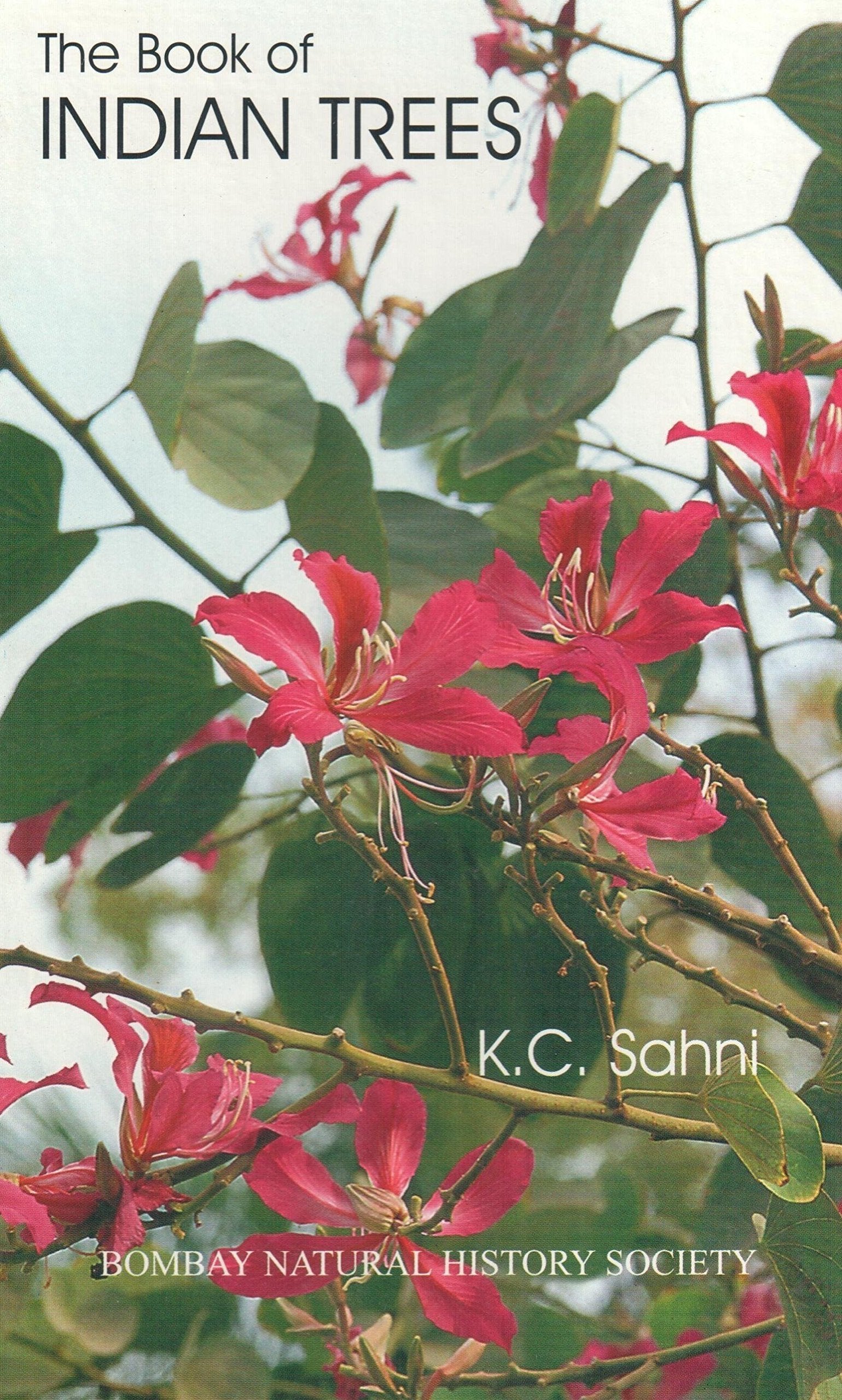 The Book of Indian Trees Mathematics
