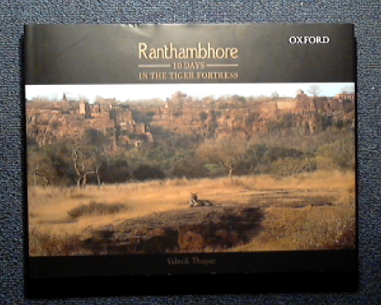 Ranthambhore: 10 Days in the Tiger Fortress Mathematics