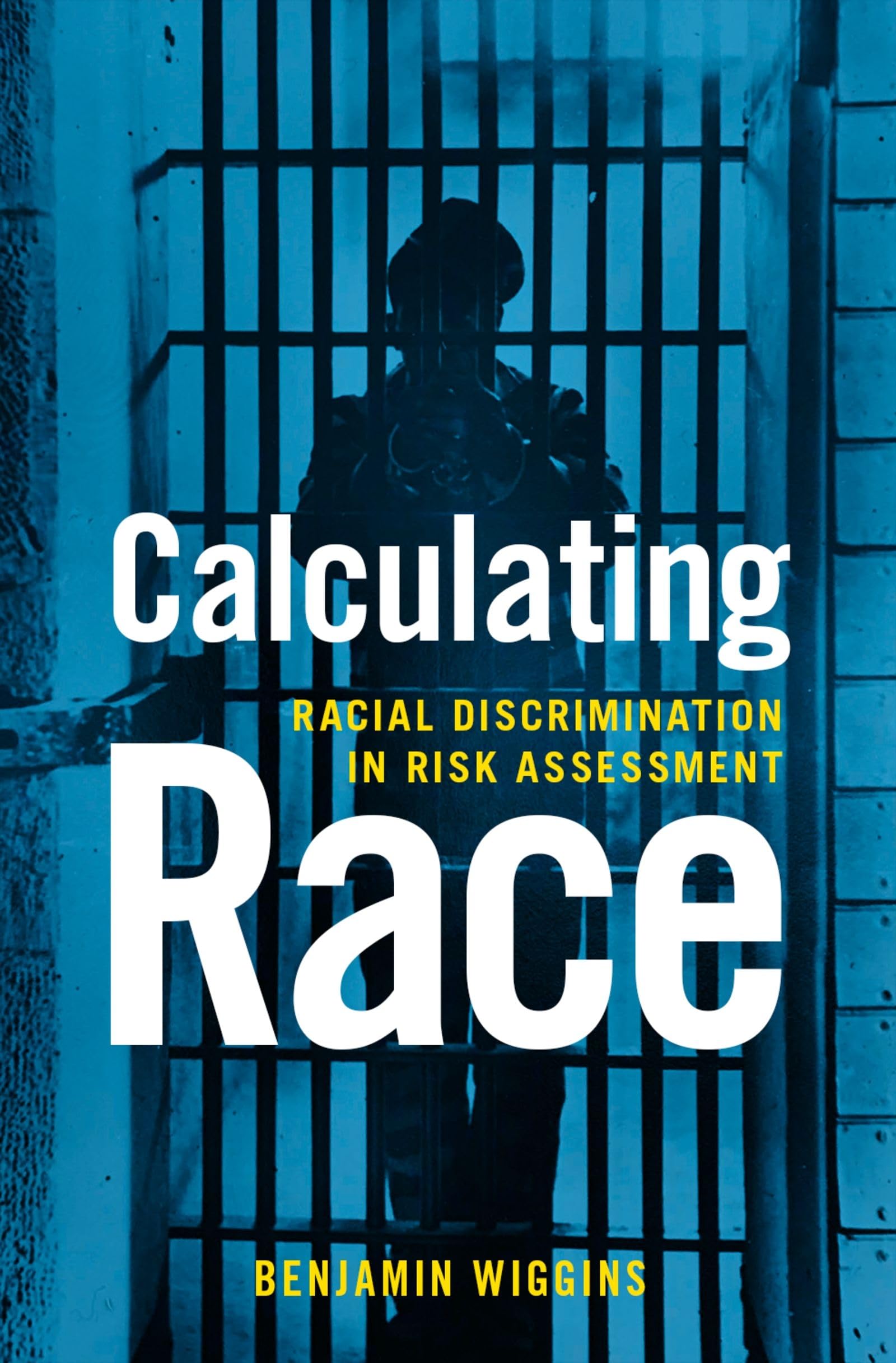 Calculating Race: Racial Discrimination in Risk Assessment (Religion and Democracy) Books